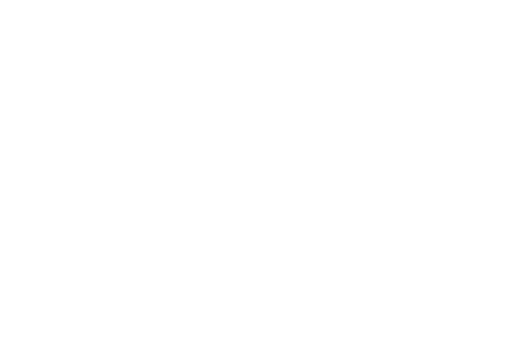 WINNER  - AWARD OF EXCELLENCE  - BEST SHORTS COMPETITION 2016 (1).png