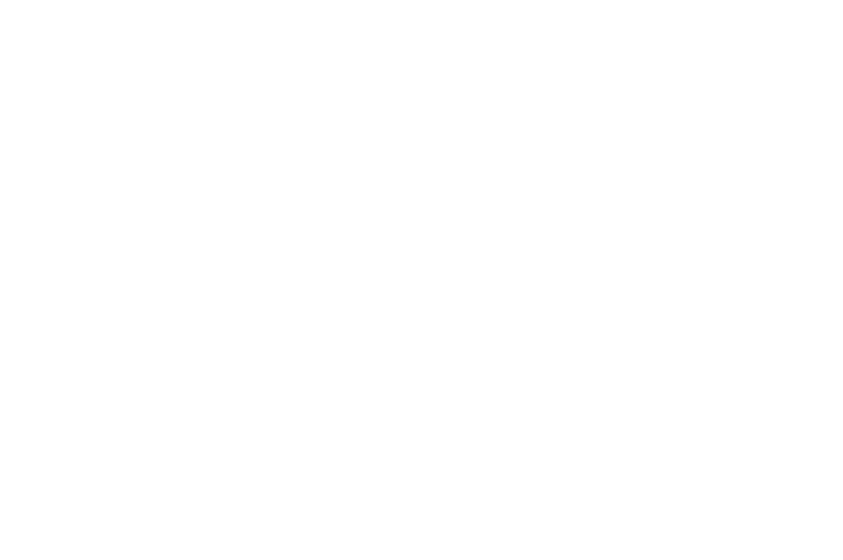 WINNER  - AWARD OF RECOGNITION  - HIMPFF 2016.png