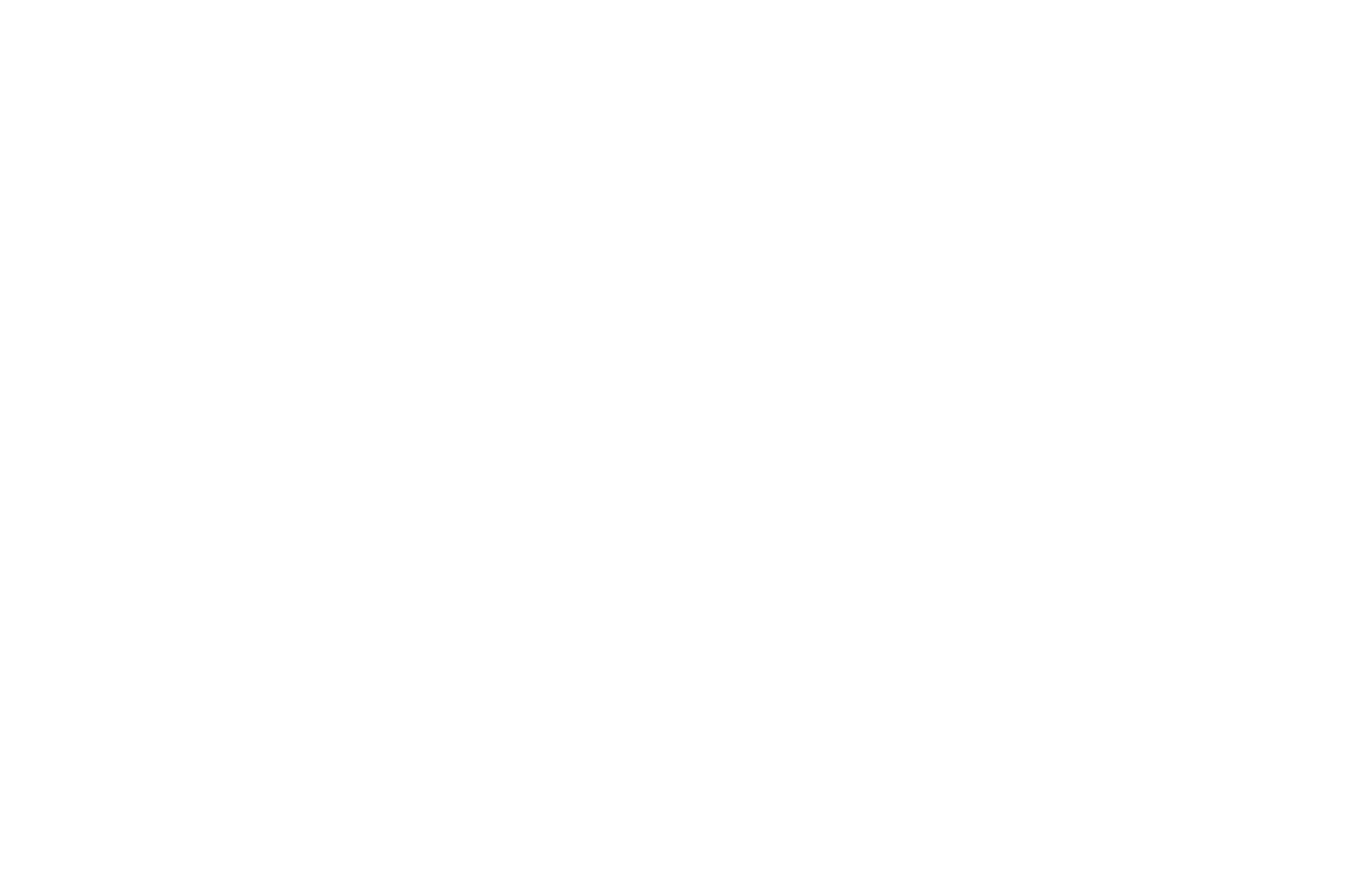 WINNER  - DIRECTOR OF THE MONTH  - DOMFF 2016 (1).png