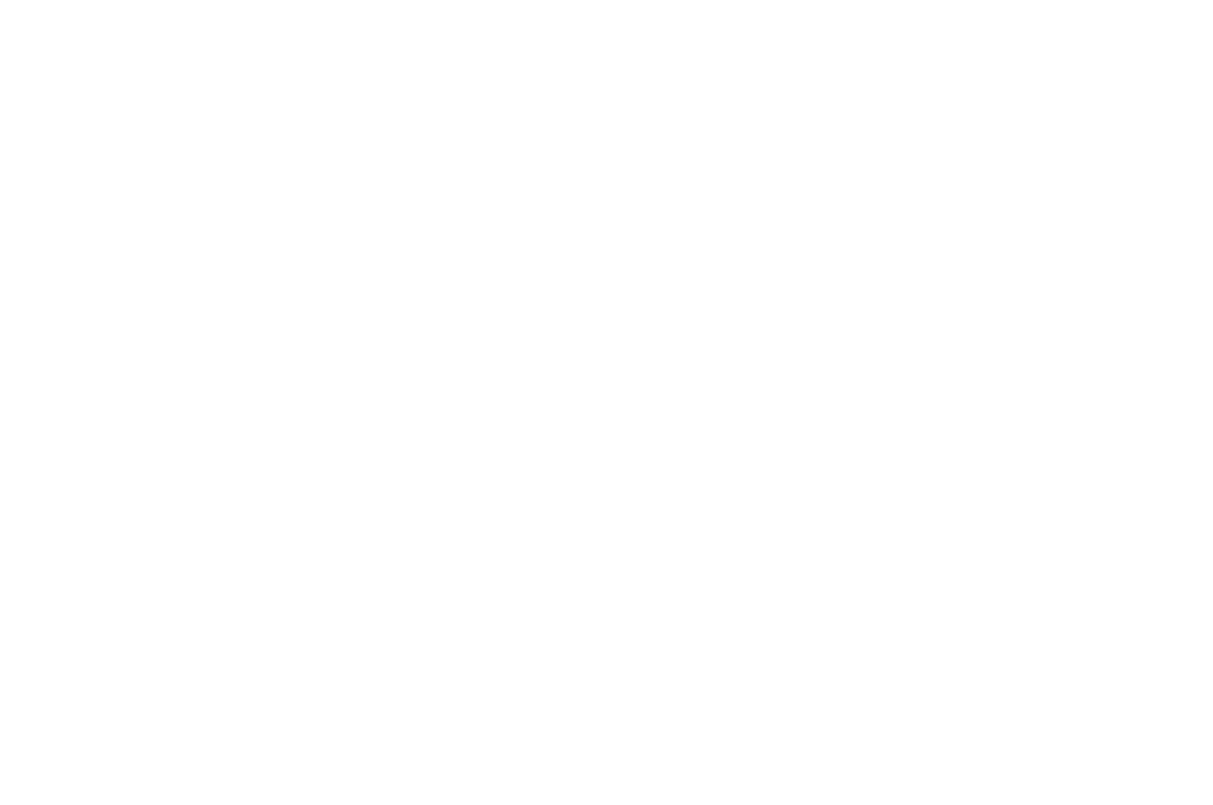 NOMINATED - BEST DIRECTOR SHORT FILM USA - NYCIFF 2016 (1).png