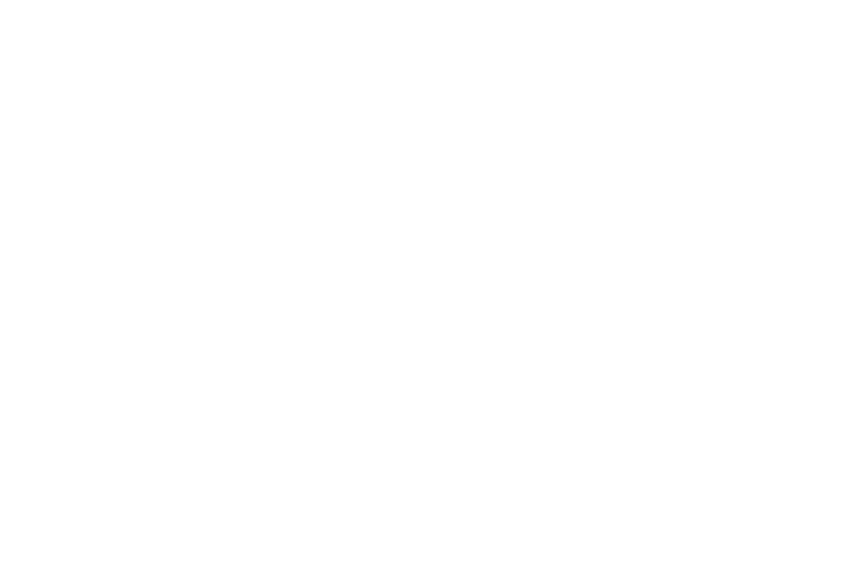 WINNER  - FIRST TIME FILMMAKER  - LAIFFA 2016 (1).png
