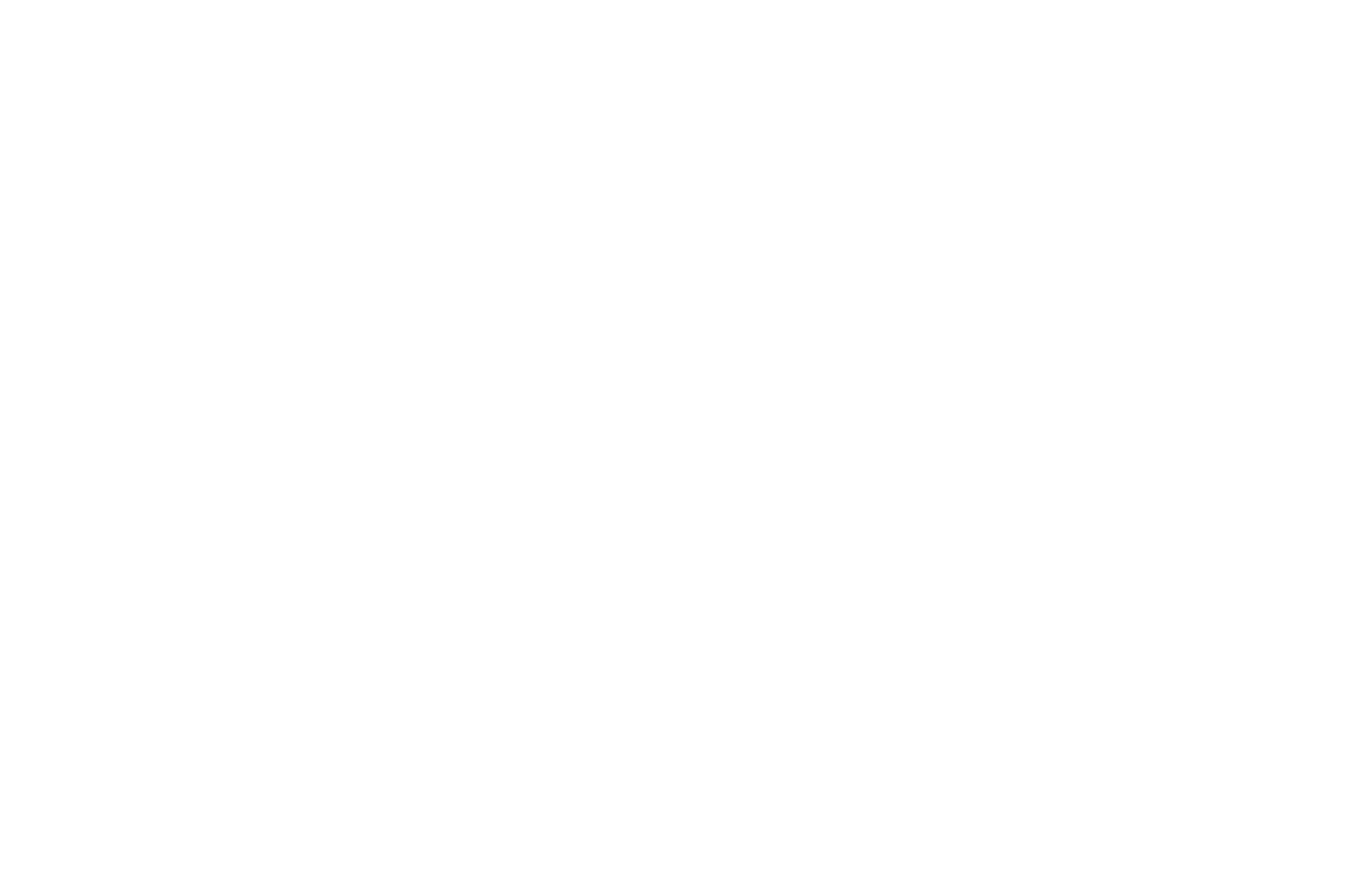 WINNER  - BEST INTERNATIONAL SHORT FILM  - ROMA CINEDOC 2016 (1).png