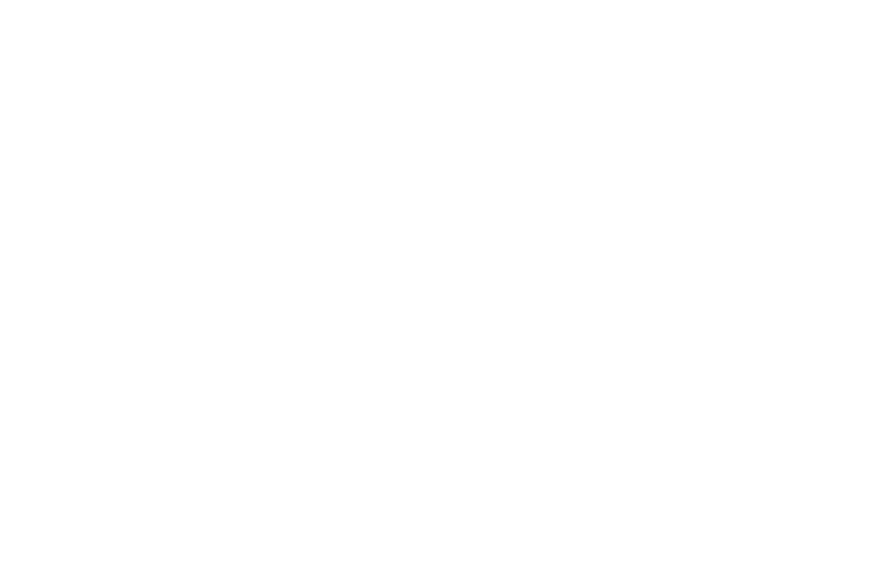 WINNER  - BEST DIRECTOR - OUCHY FILM AWARDS 2016.png