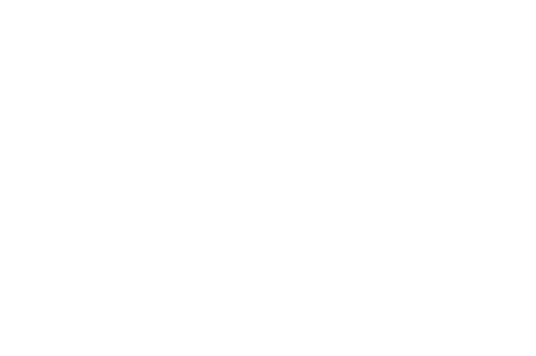 OFFICIAL SELECTION - NYC INDIE FILM AWARDS - 2016 (1).png