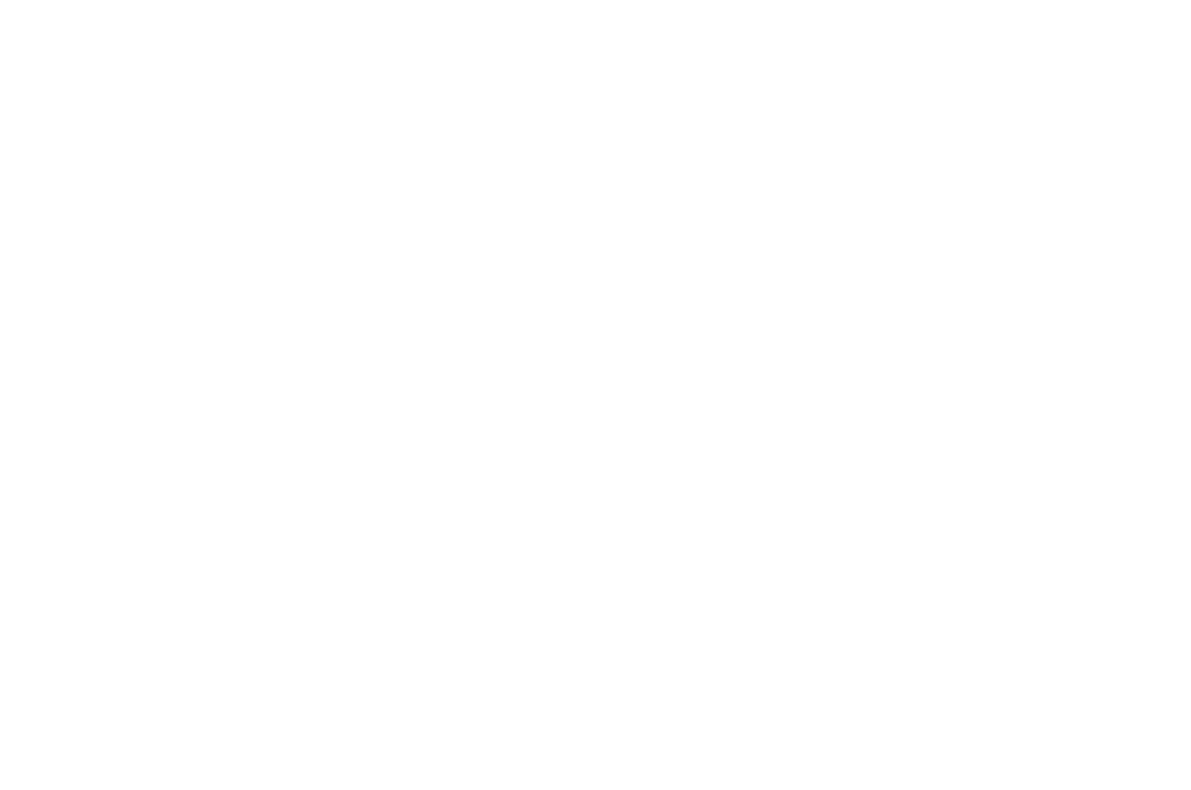 WINNER  - BEST DIRECTOR PLATINUM AWARD  - NYC INDIE FILM AWARDS 2016 (1).png