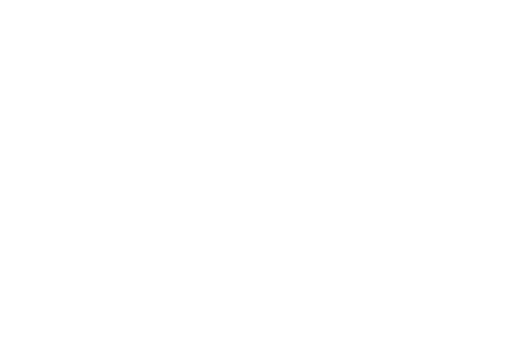 NOMINATED  - FILM OF THE MONTH  - TMFF 2016 (1).png