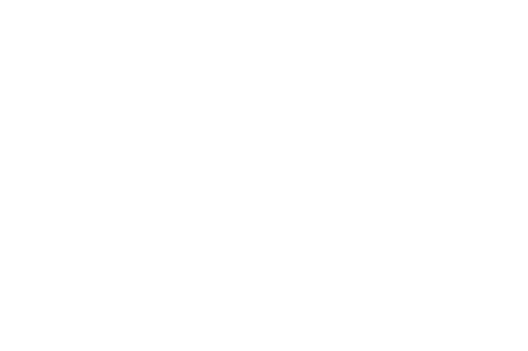 OFFICIAL SELECTION - AUCKLAND INTERNATIONAL FILM FESTIVAL  - 2016 (2).png