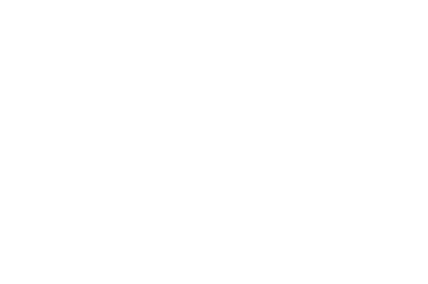 OFFICIAL SELECTION - IMFF - 2016 (1).png
