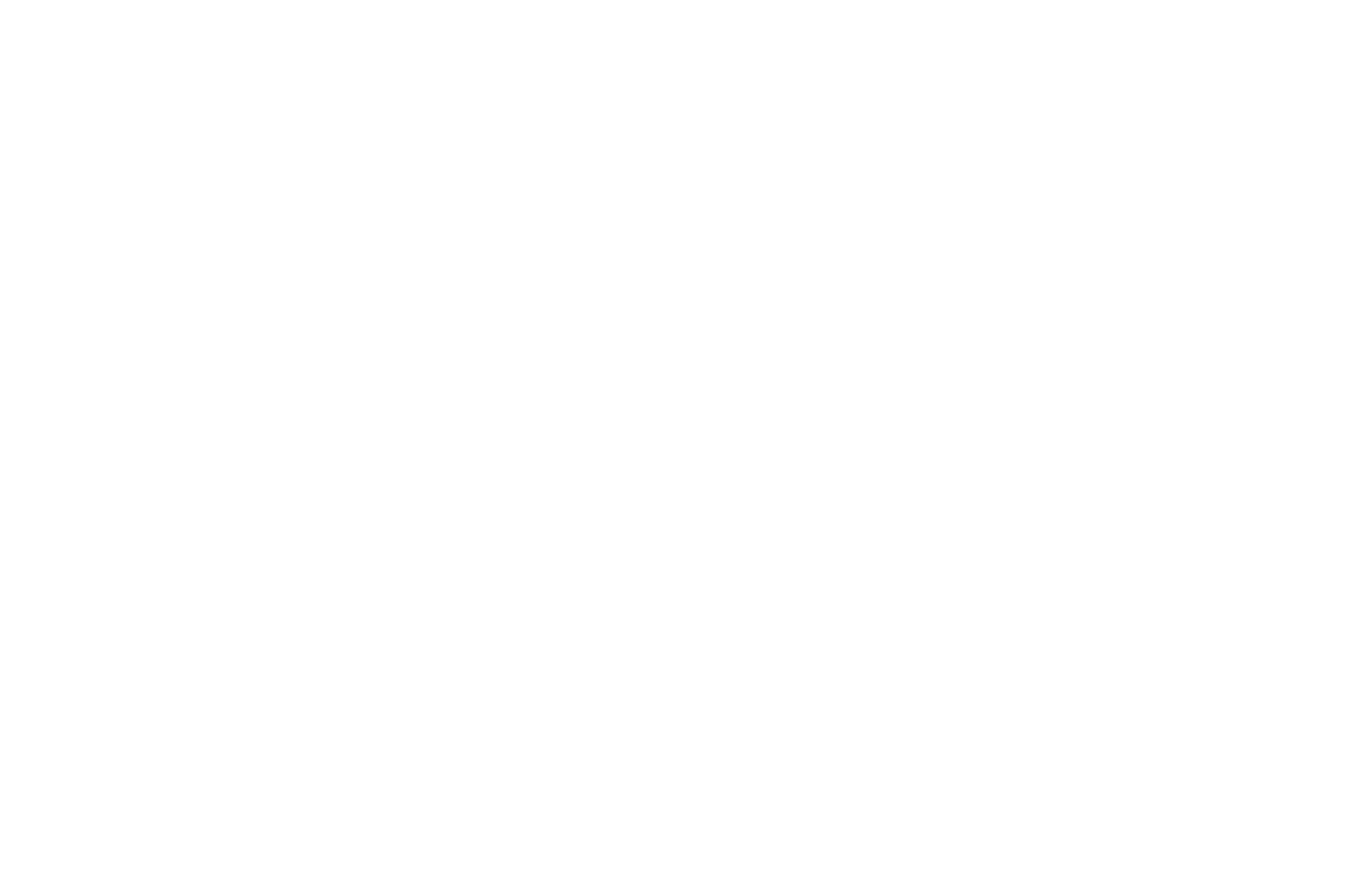 OFFICIAL SELECTION - THE MONKEY BREAD TREE FILM AWARDS  - 2016 (1).png