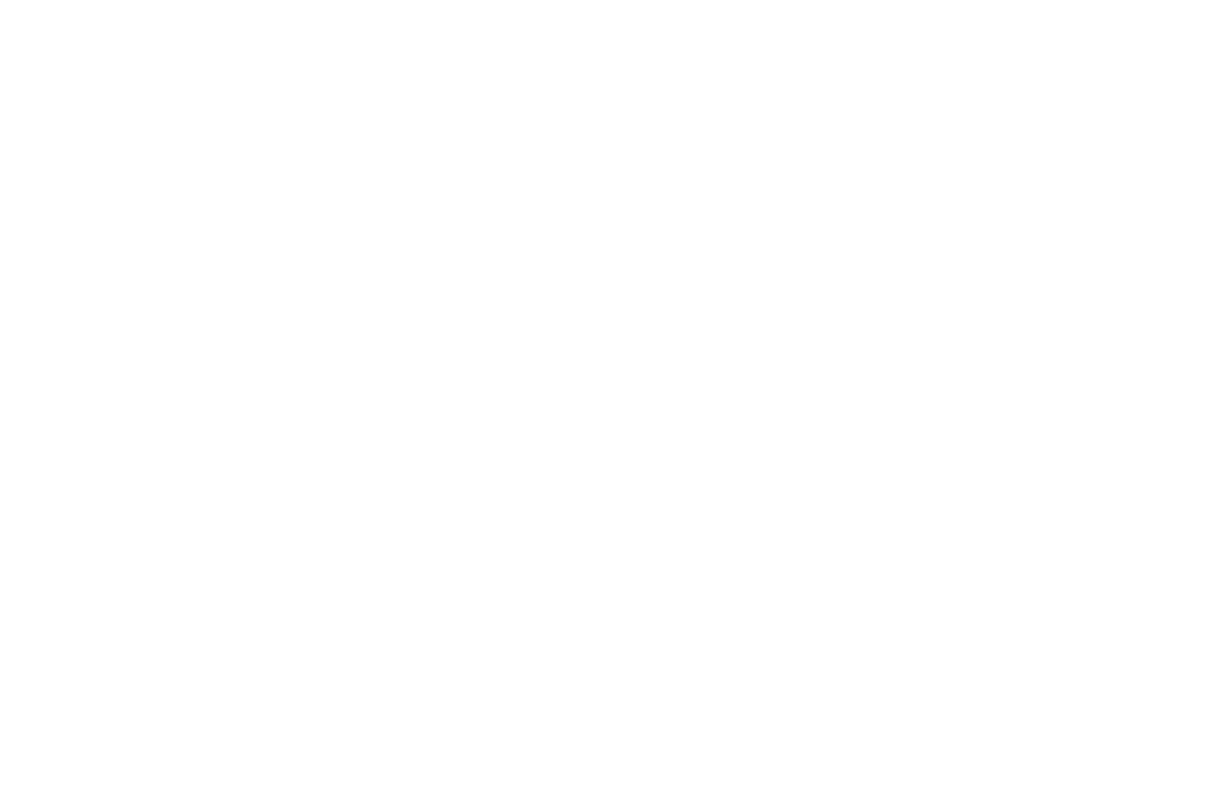 NOMINATED - BEST CINEMATOGRAPHY - THE MONKEY BREAD TREE AWARDS 2016 (1).png