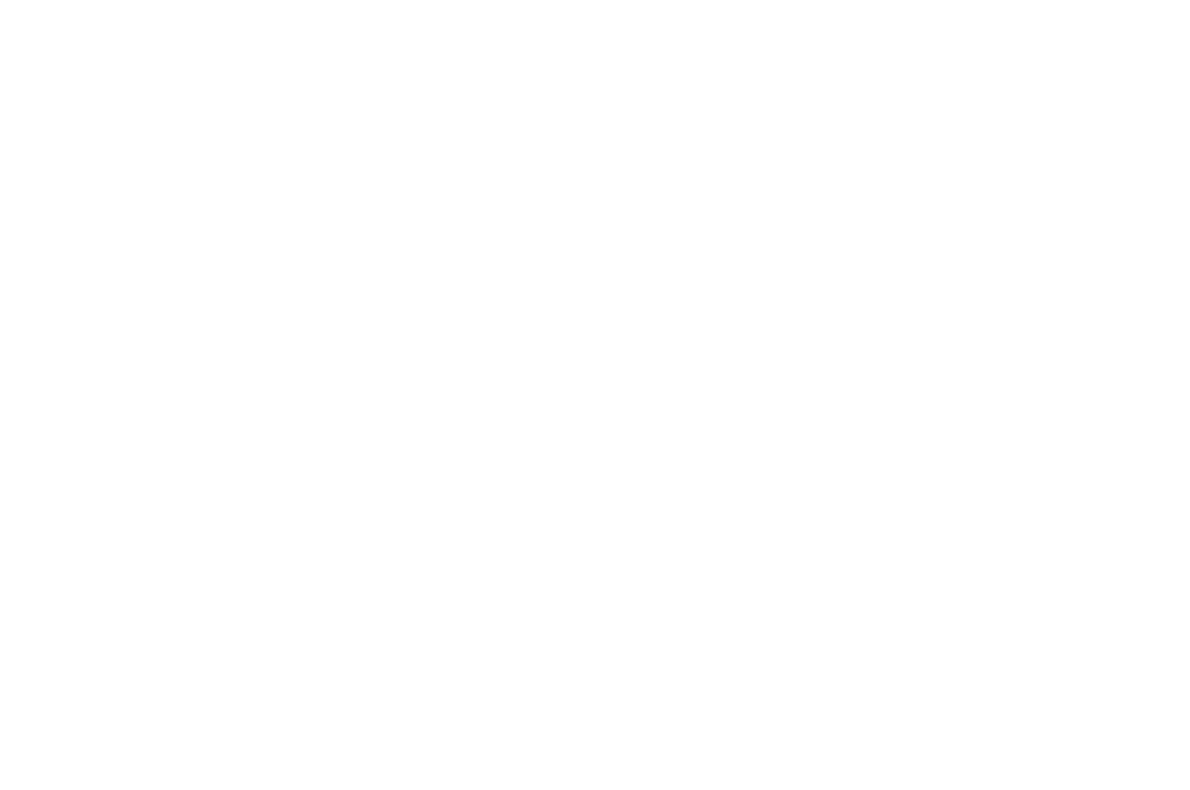 OFFICIAL SELECTION - WOODENGATE IFF - 2016.png