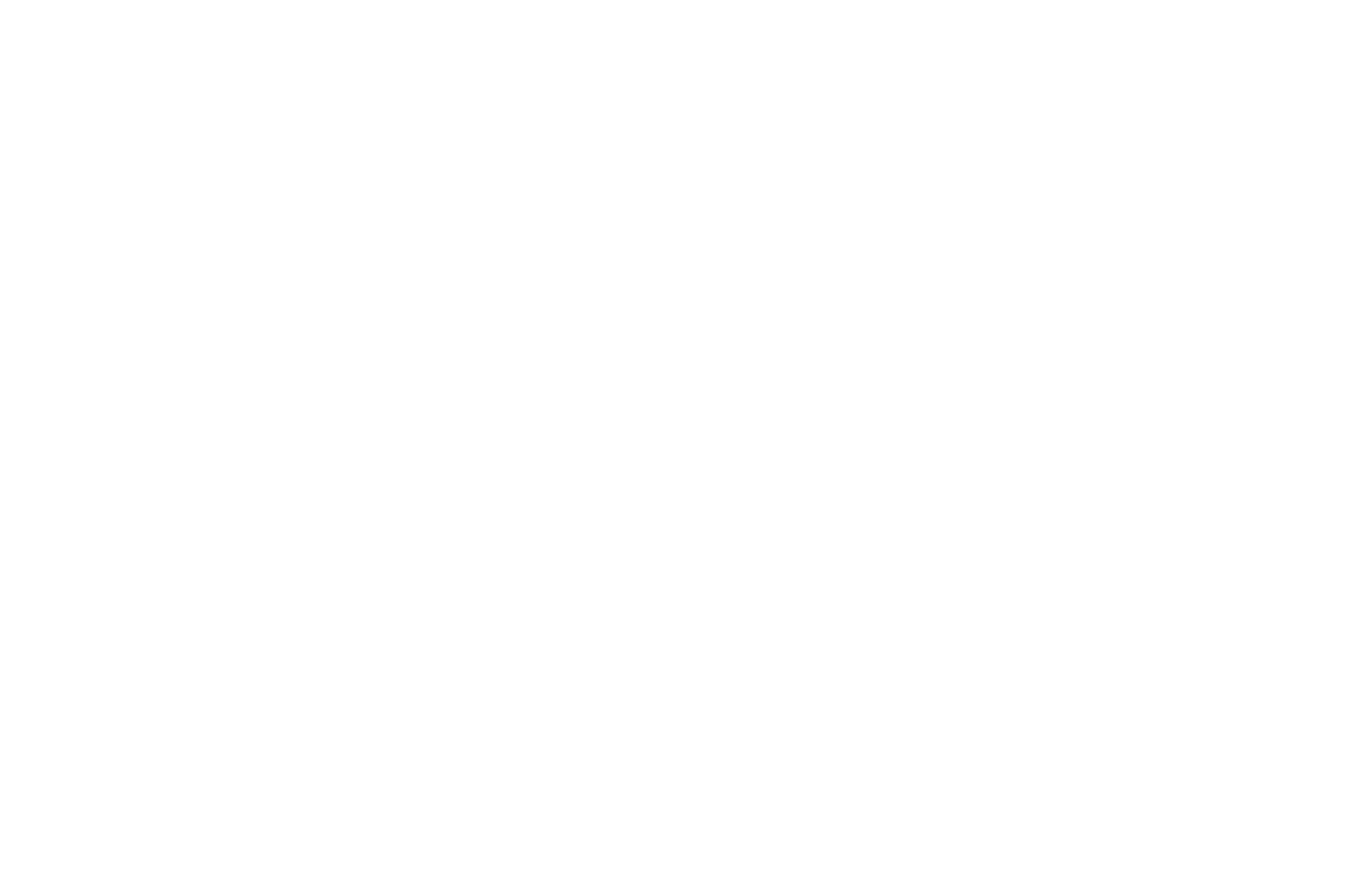 MERIT AWARD  - INTERNATIONAL NEW YORK FILM FESTIVAL  - 2016.png
