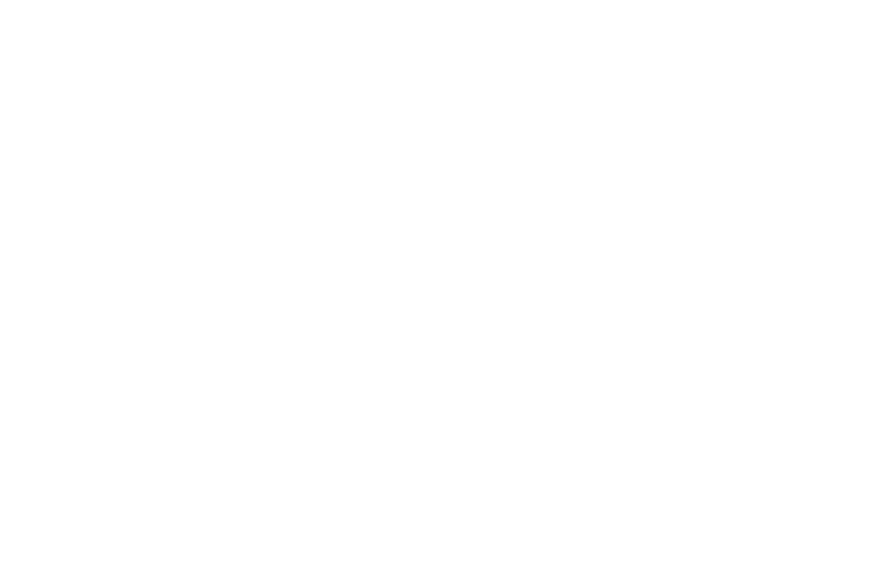 OFFICIAL SELECTION - FESTIGIOUS INTERNATIONAL FILM FESTIVAL  - 2016 (1).png