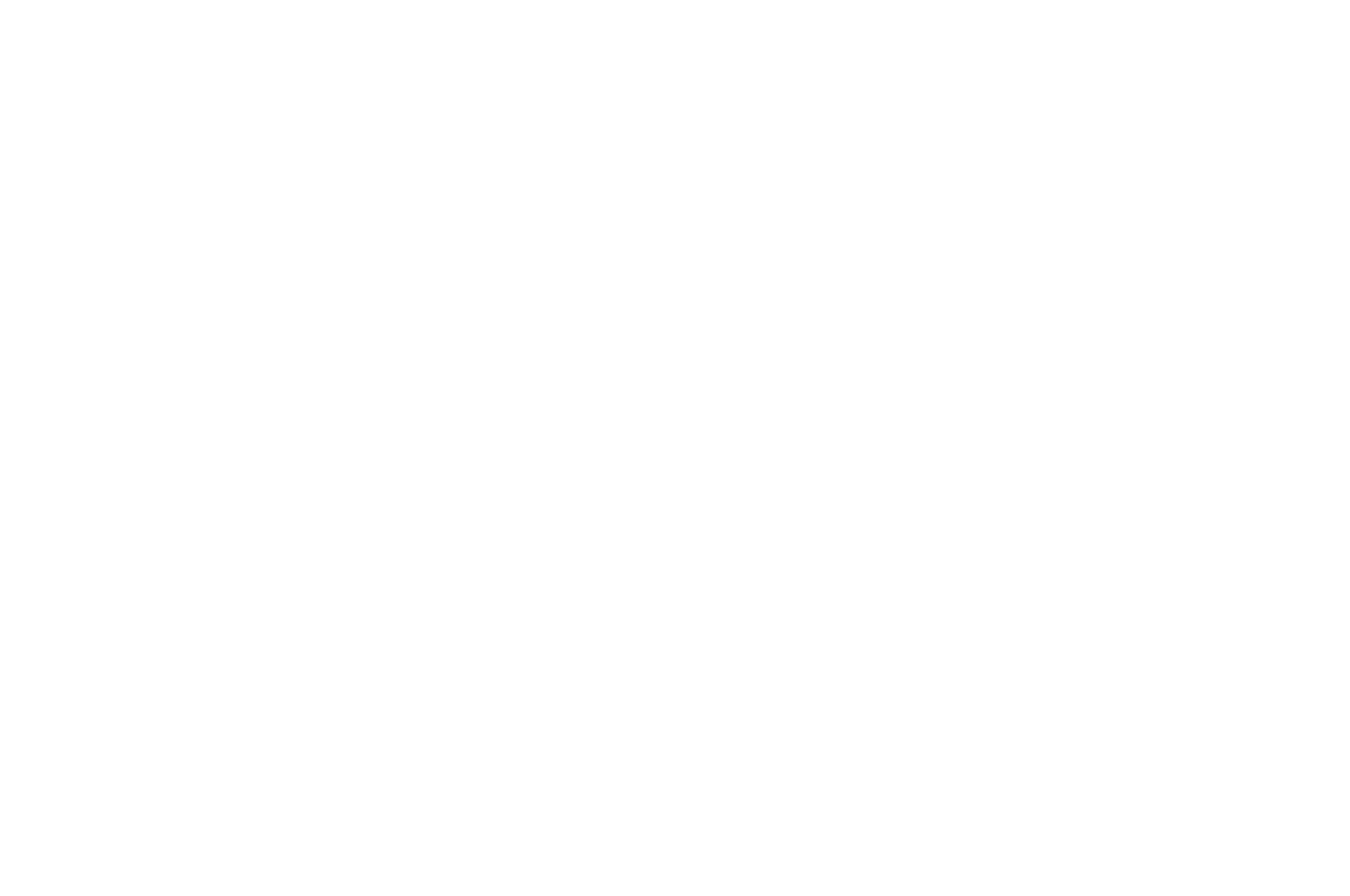 OFFICIAL SELECTION - INYFF - 2016.png