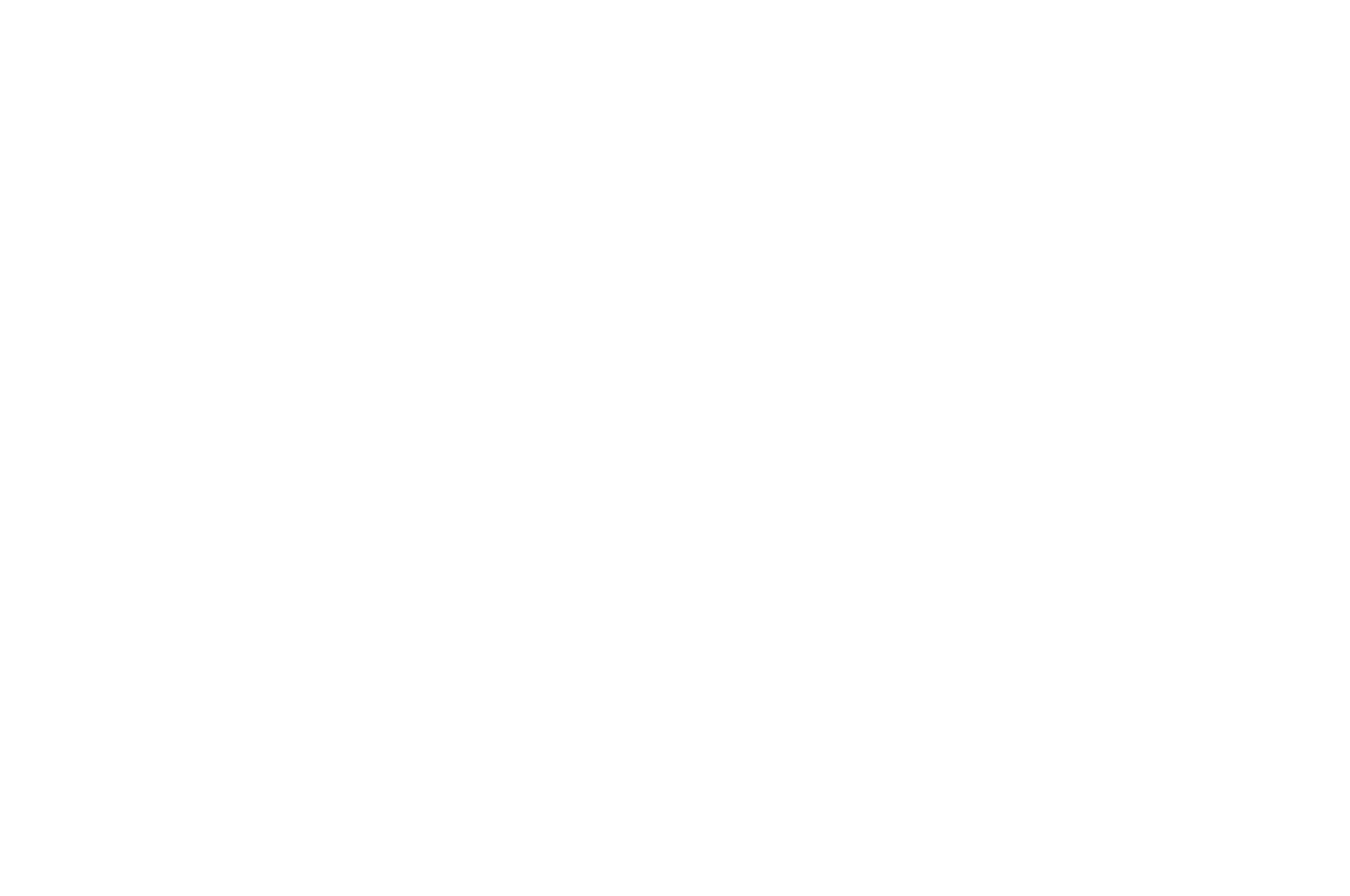AWARD OF MERIT  - INYFF - 2016 (1).png