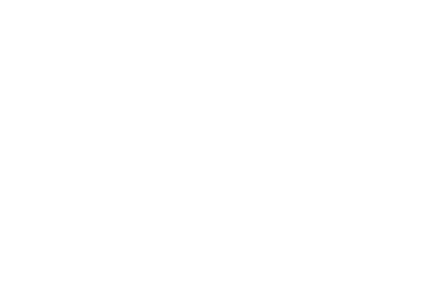 SPECIAL MENTION  - GLOBAL SHORTS  - 2016.png