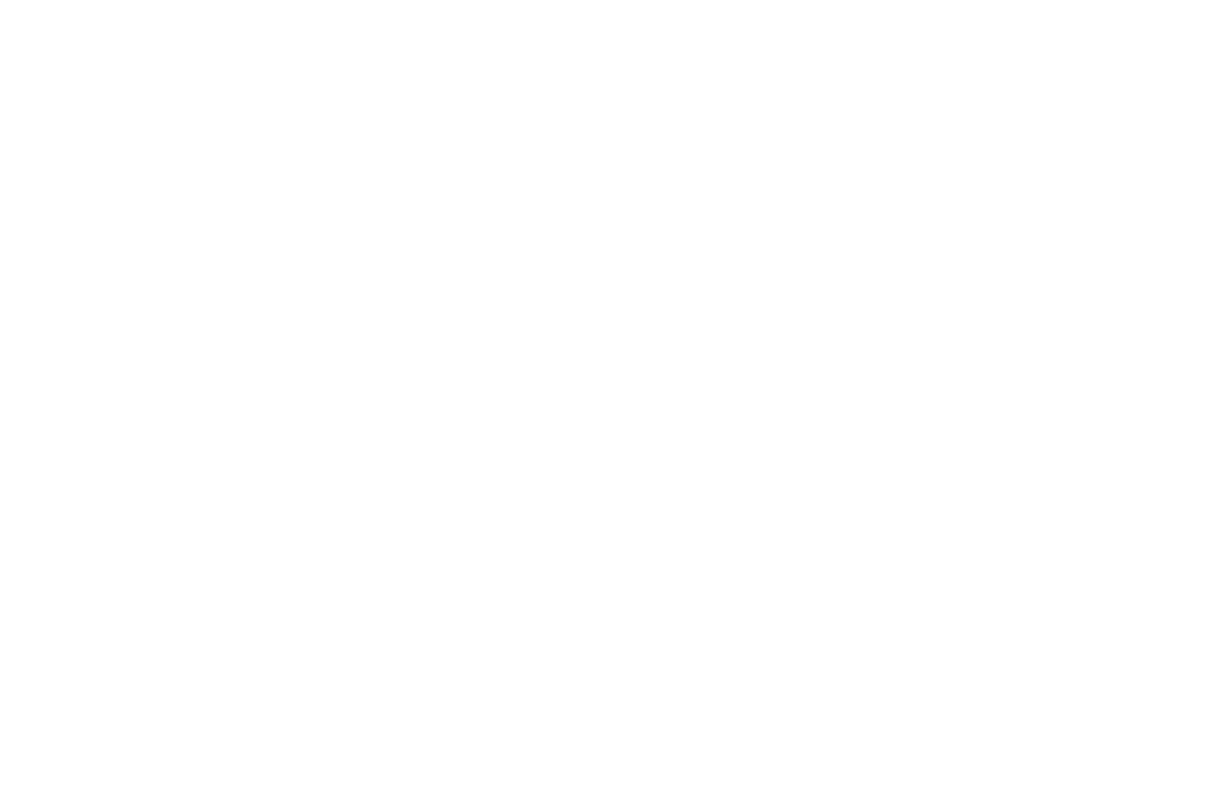 HONORABLE MENTION  - FIRST TIME DIRECTOR  - FESTIGIOUS FILM FESTIVAL 2016 (1).png