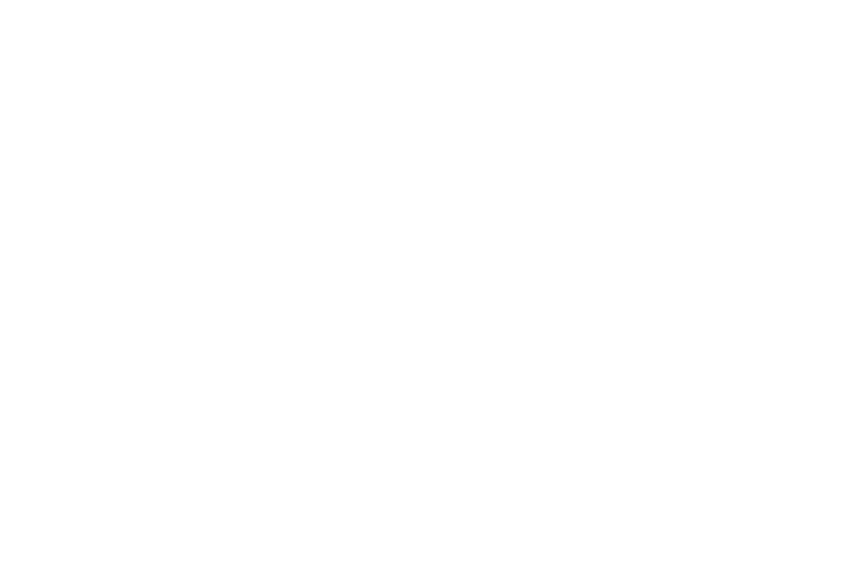 WINNER - AWARD OF EXCELLENCE - CANADA SHORTS 2016.png