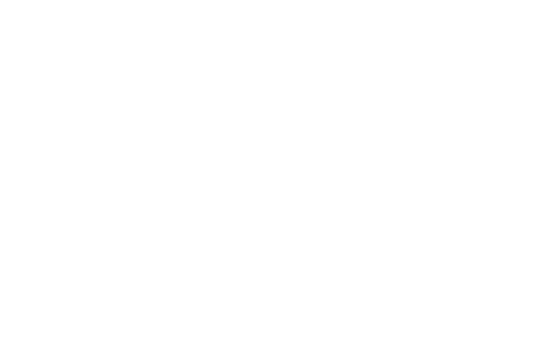 WINNER - BEST DIRECTOR 2016 - OUCHY FILM AWARDS 2016.png