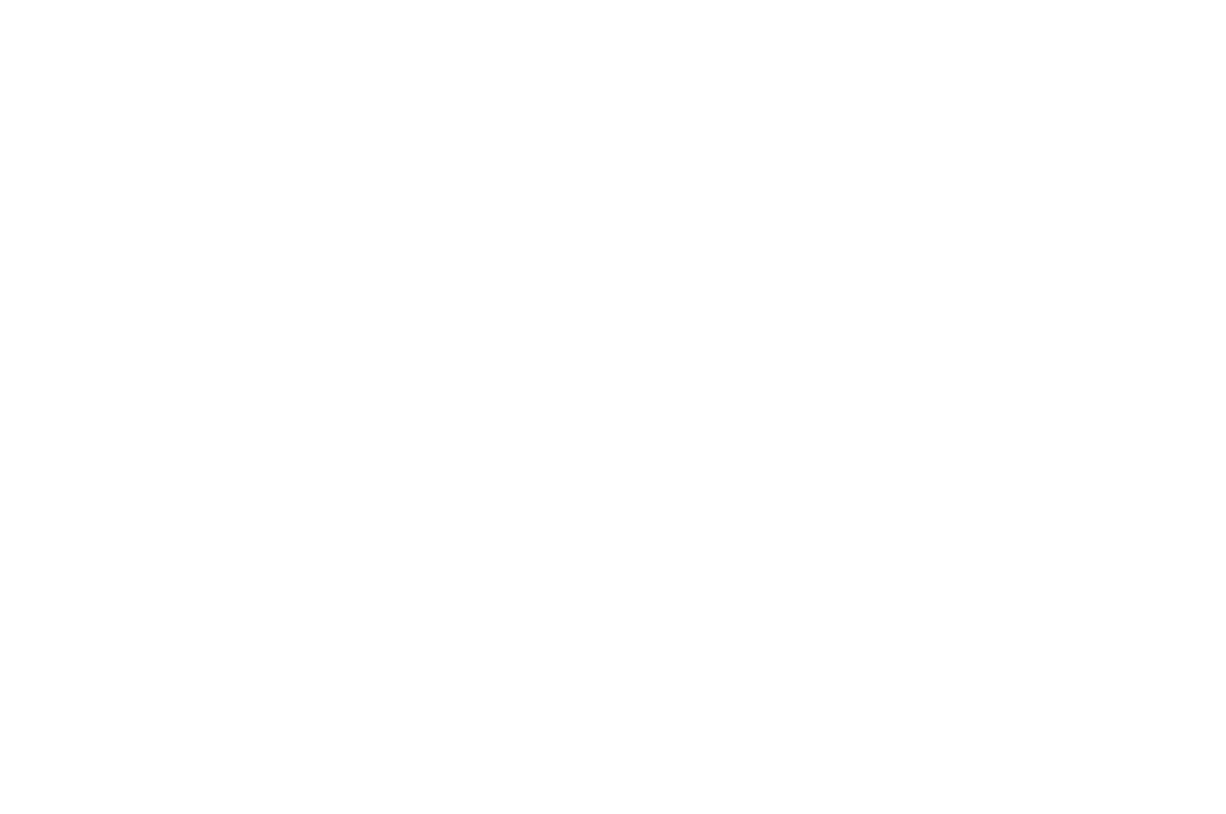 AWARD OF EXCELLENCE - BEST DIRECTOR  - HOLLYWOOD FILM COMPETITION 2016.png