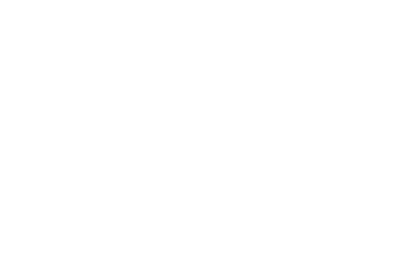 AWARD OF EXCELLENCE - BEST SHORT FILM  - HOLLYWOOD FILM COMPETITION 2016 (1).png