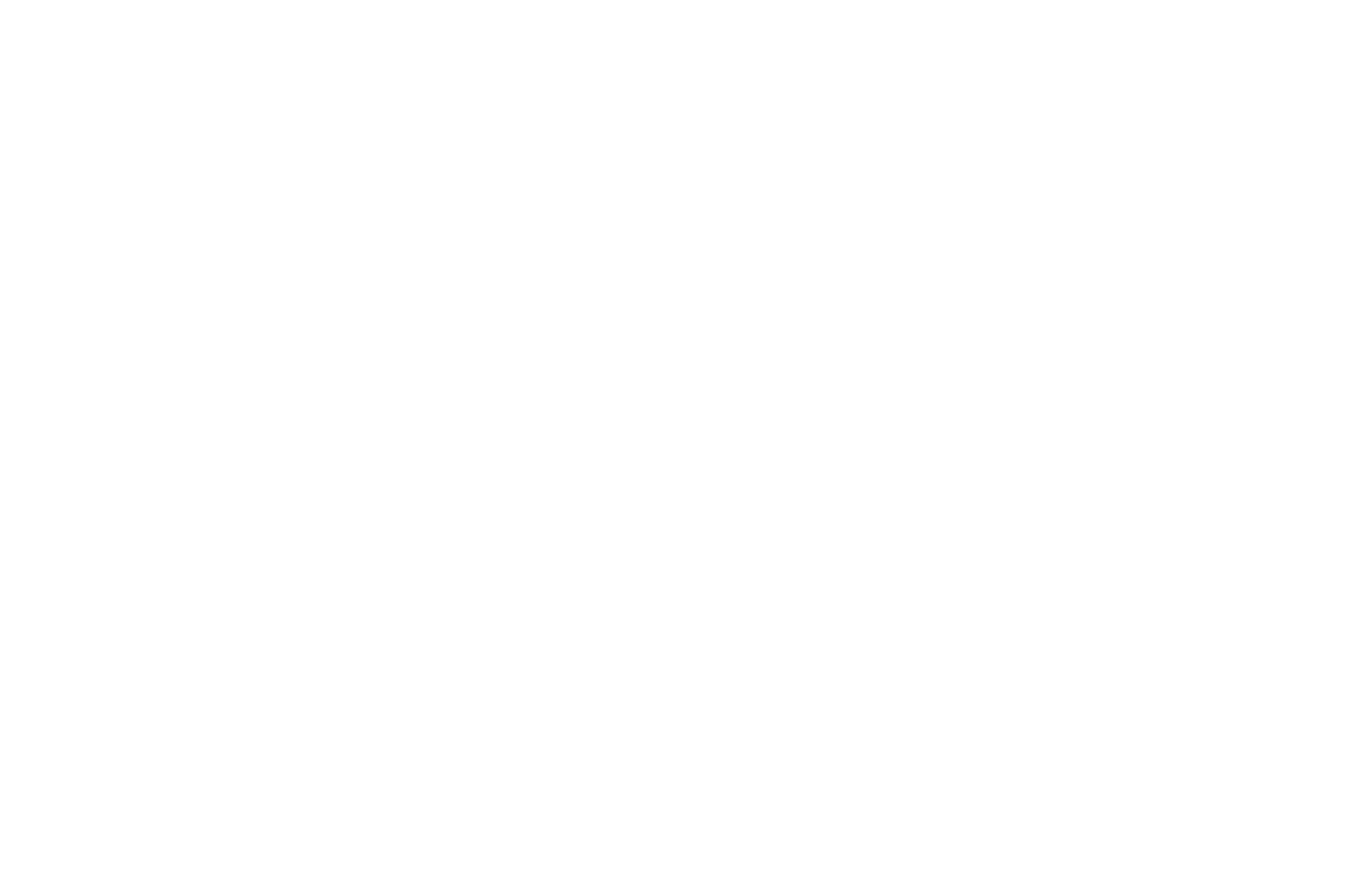 OFFICIAL SELECTION - BUCHAREST FILM AWARDS  - 2017 (1).png