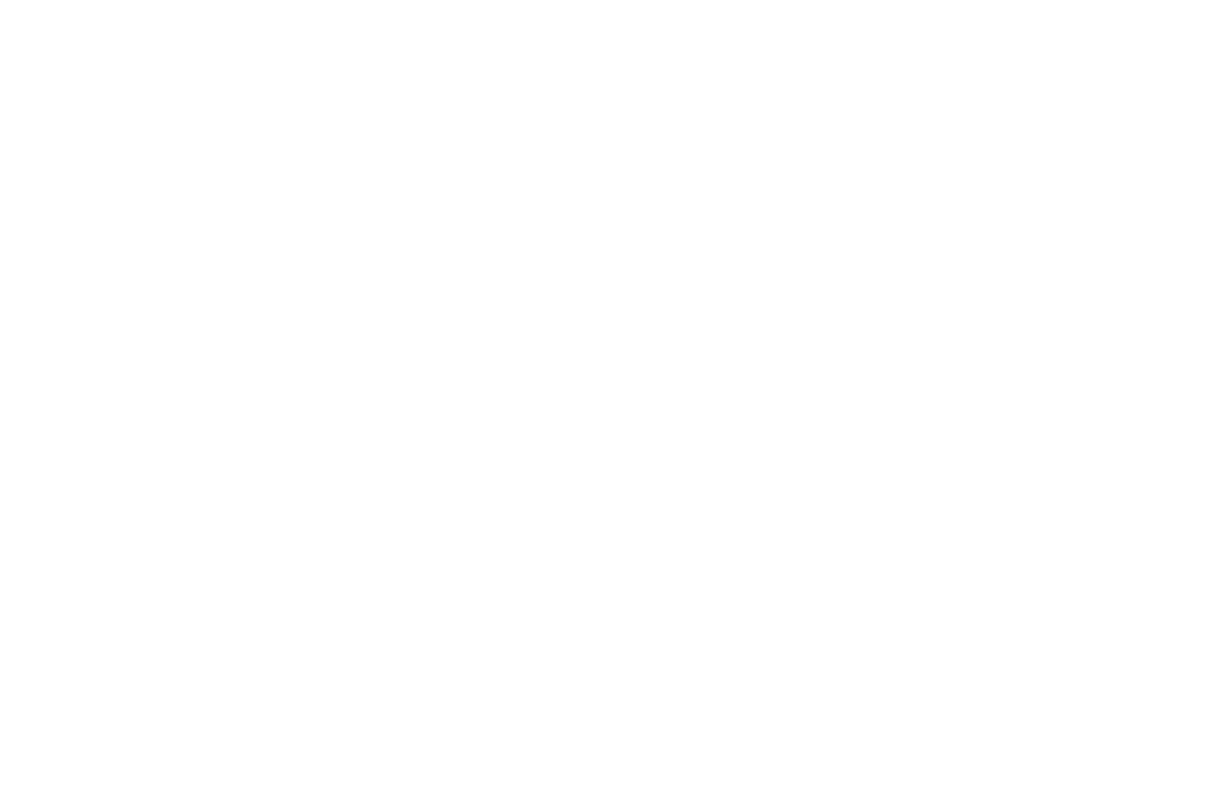 OFFICIAL SELECTION - PHENICIEN INTERNATIONAL FILM FESTIVAL  - 2017.png
