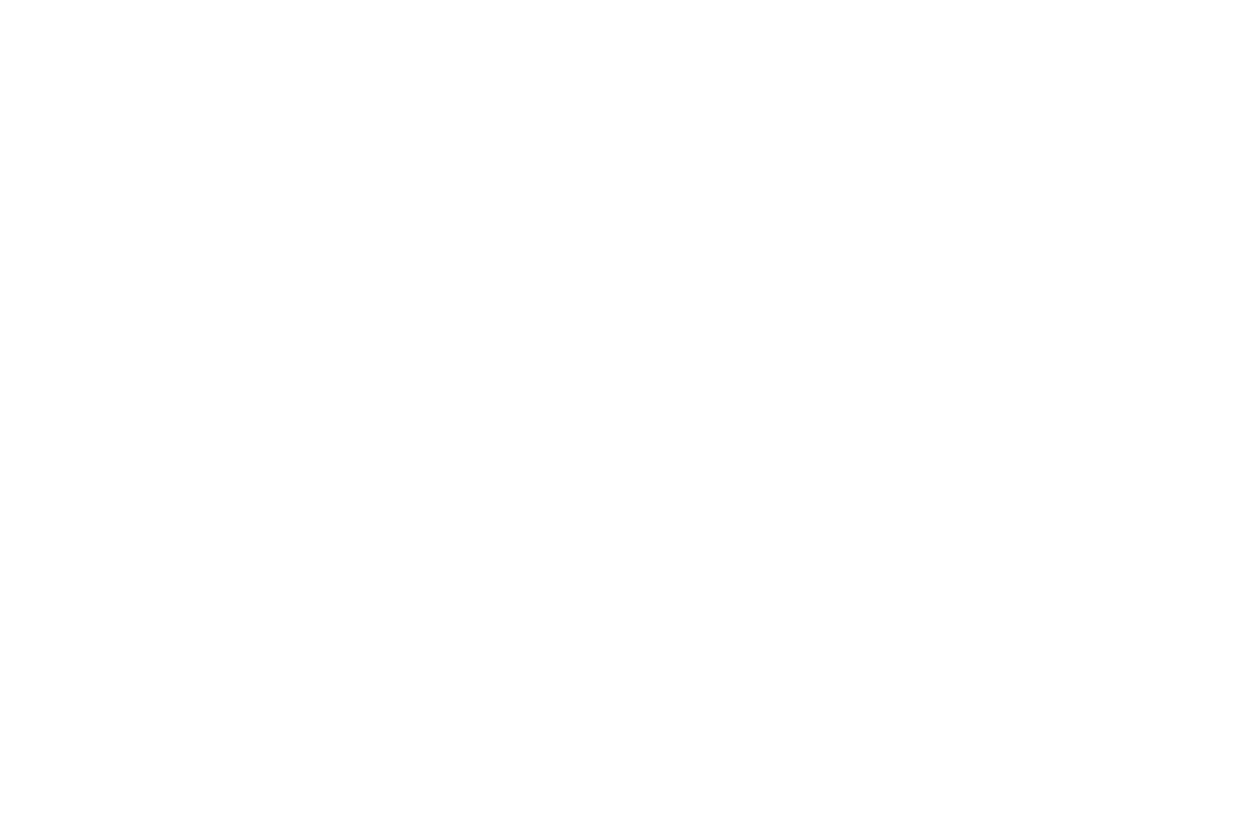 OFFICIAL SELECTION - THE BRIGHTSIDE TAVERN SHORTS FILM FEST - 2017 (1).png