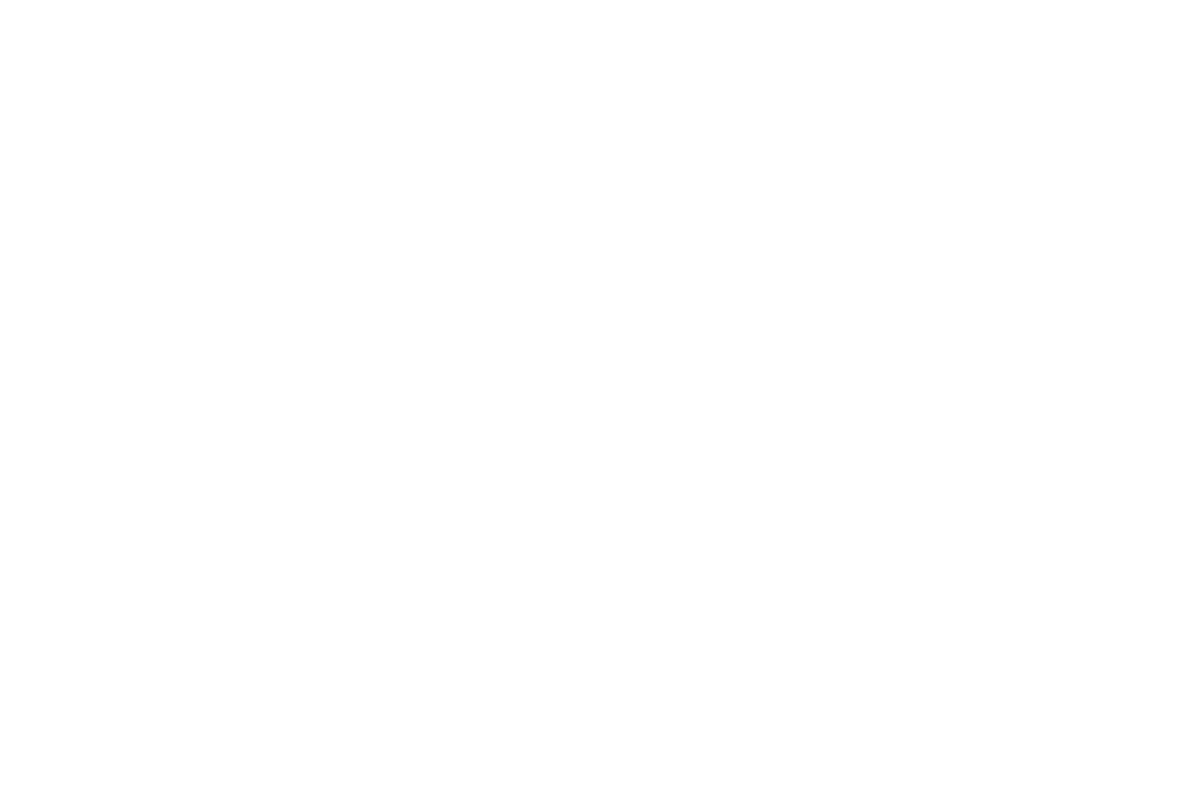 NOMINATED - BEST DIRECTOR - BRIGHTSIDE TAVERN SHORTS FESTIVAL 2017.png