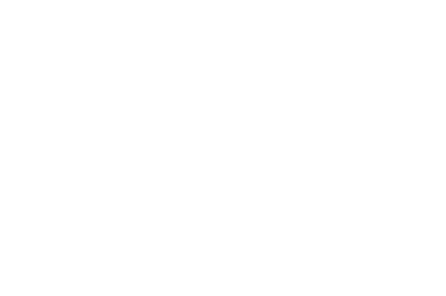WINNER  - HONORABLE MENTION CAMERA DOR - PHENICIEN INTERNATIONAL FILM FESTIVAL 2017 (1).png