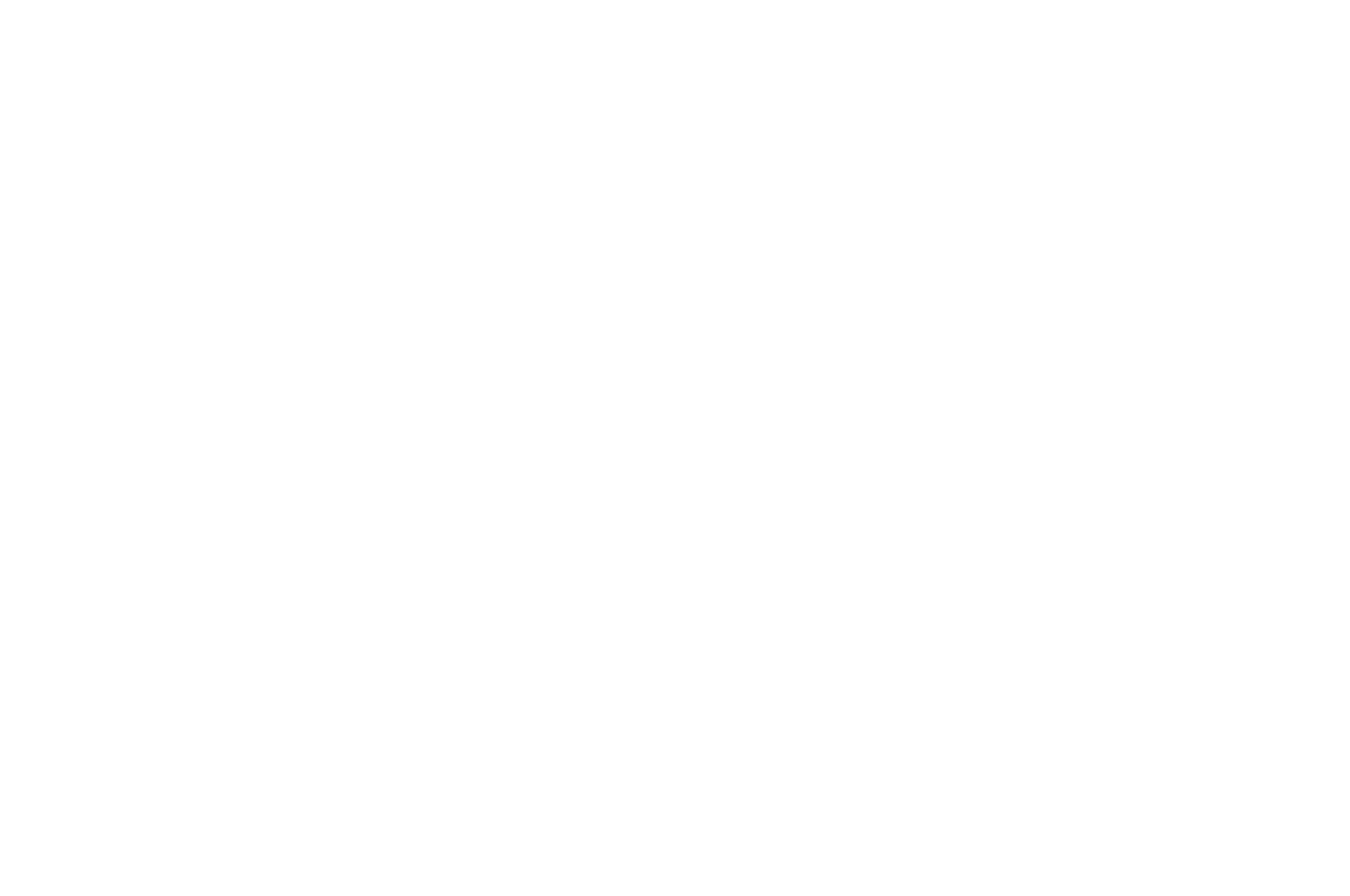 WINNER  - BEST DIRECTOR  - BRIGHTSIDE TAVERN SHORT FILM FESTIVAL 2017.png