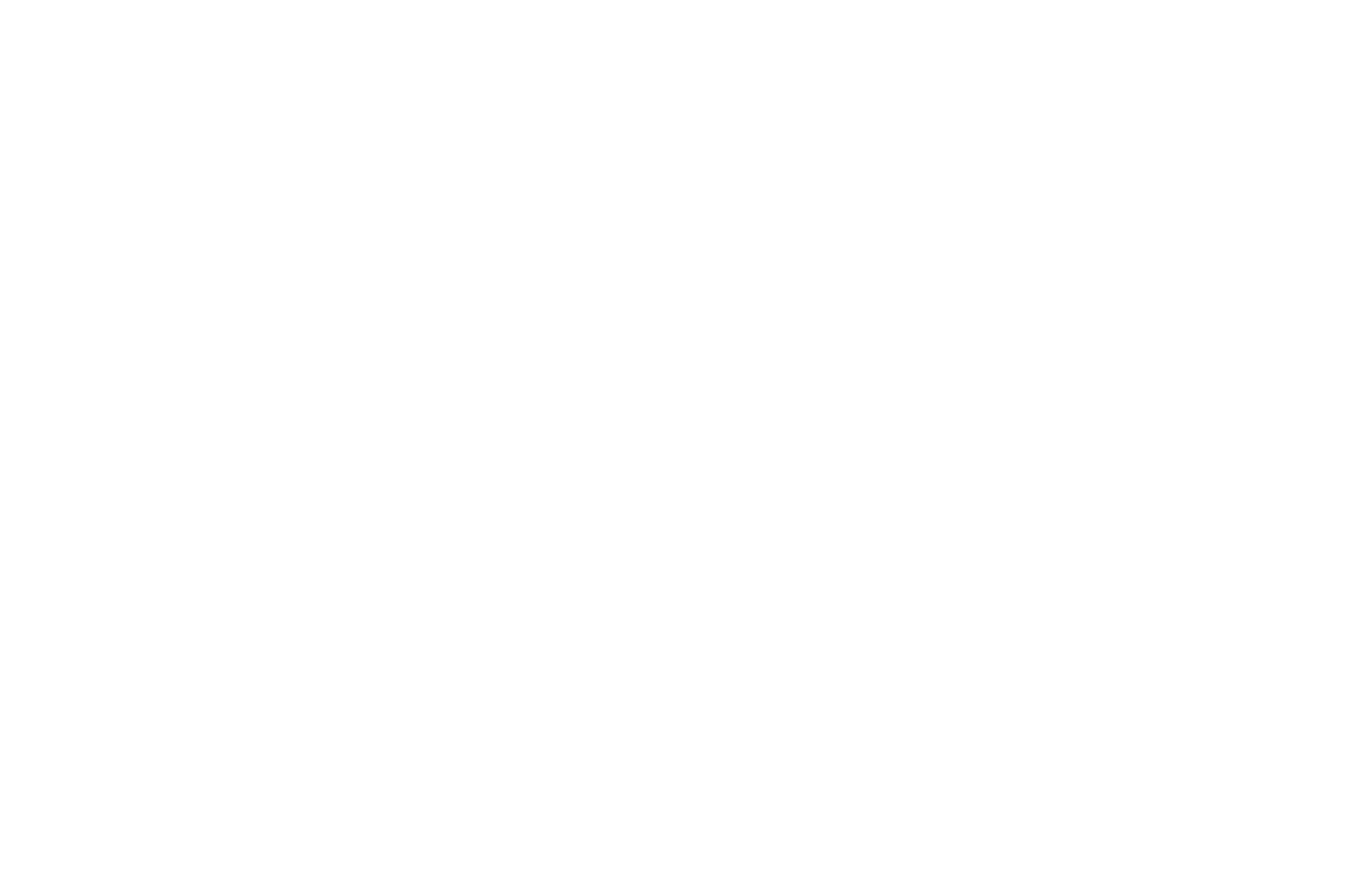 NOMINATED  - BEST DIRECTOR  - HANG ONTO YOUR SHORTS 2017.png