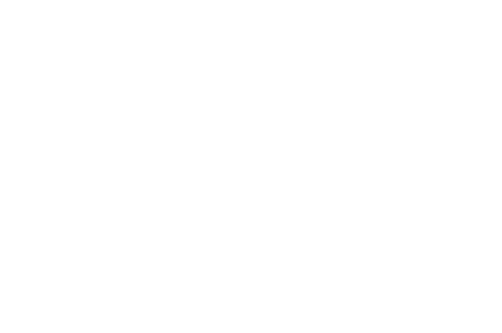 WINNER  - BEST DRAMA FILM  - ATLAS  AERIS 2017.png