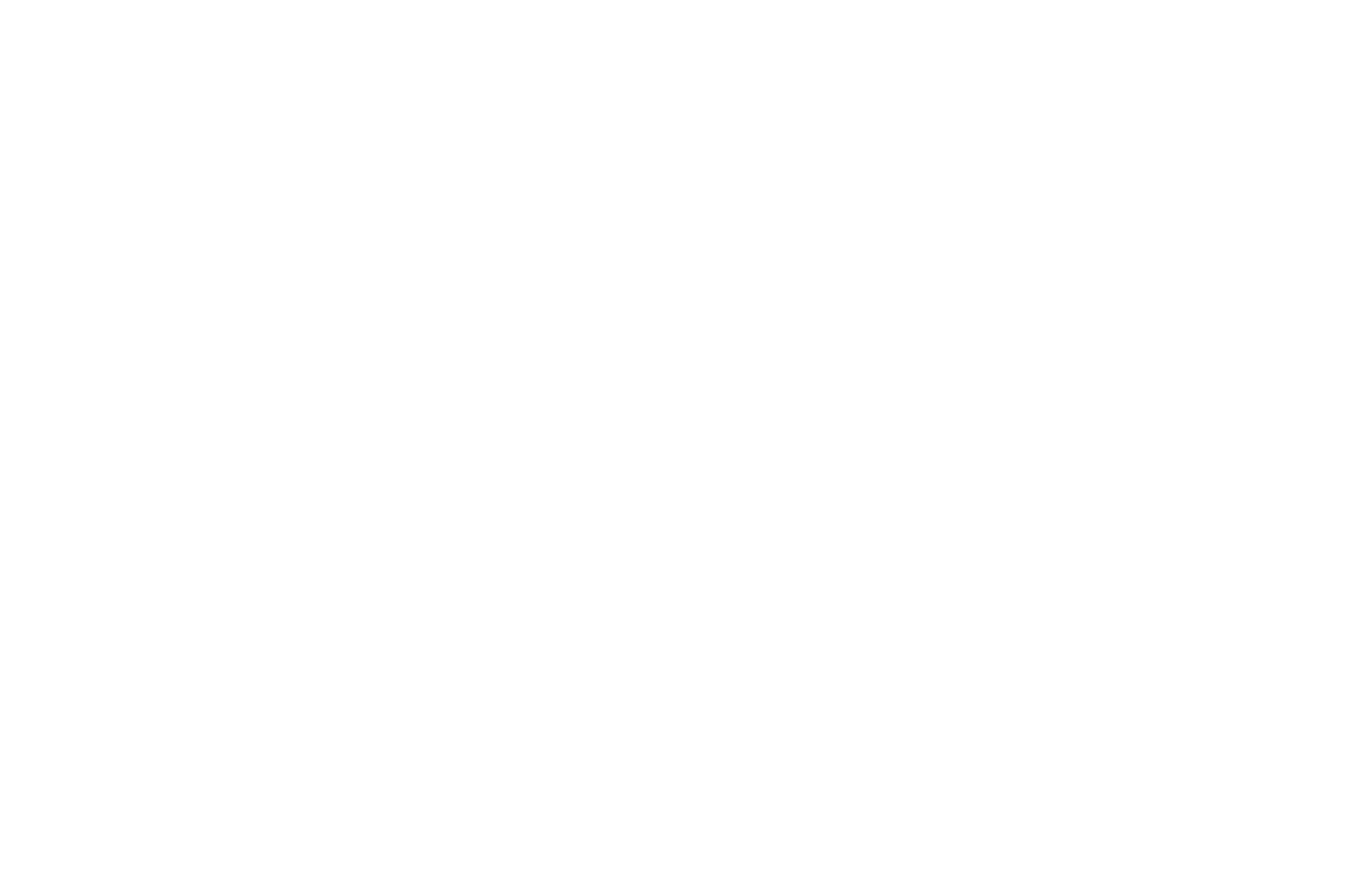 OFFICIAL SELECTION - GARDEN CITY INTERNATIONAL FILM FESTIVAL  - 2017.png