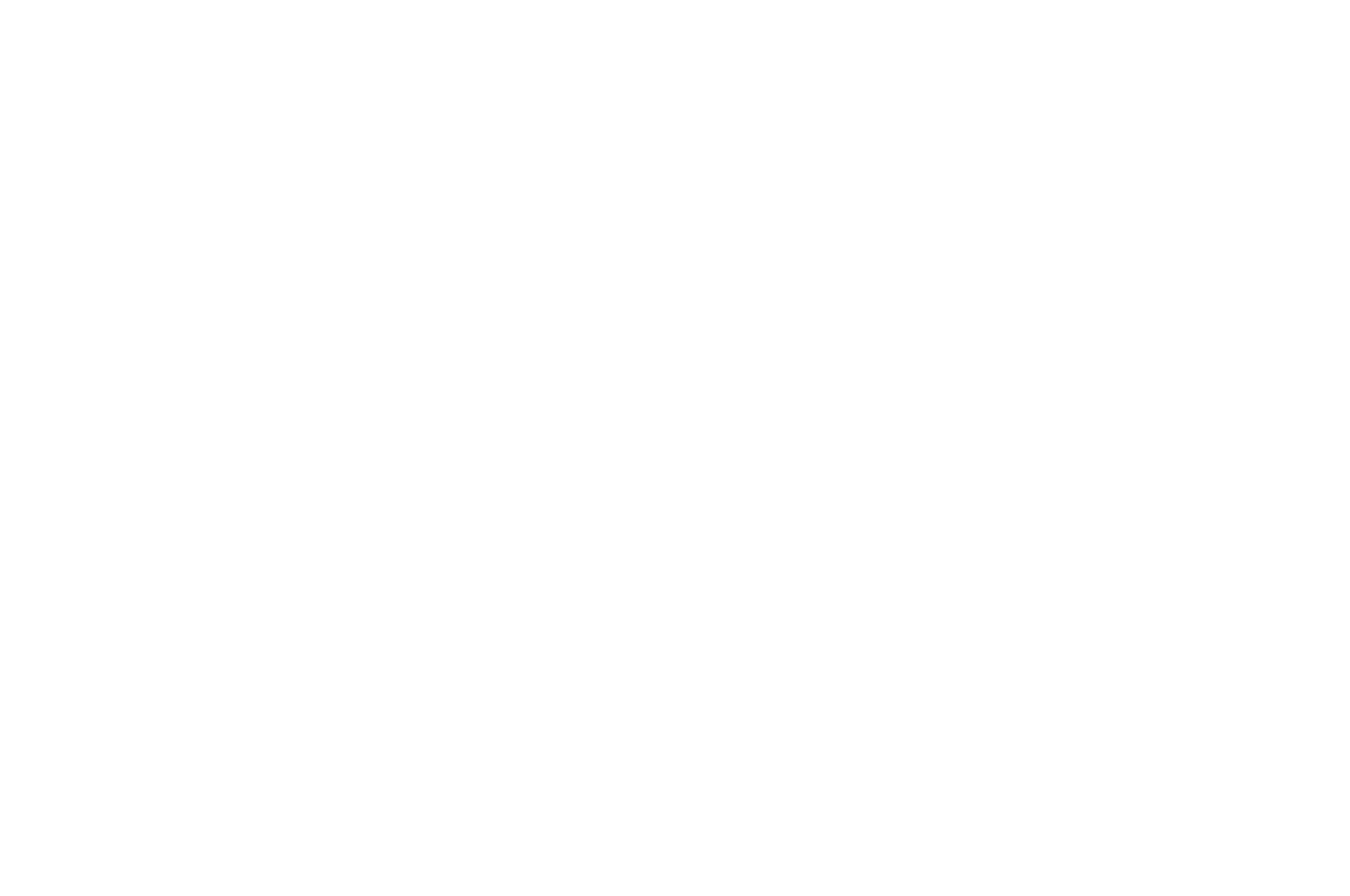 OFFICIAL SELECTION - NEW YORK SUN FEST  - 2017.png