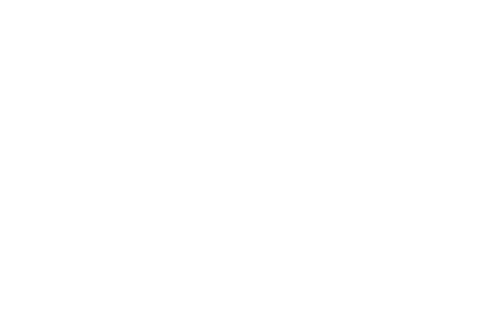 WINNER - BEST FIRST TIME DIRECTOR  - HONOLULU FILM AWARDS 2017.png