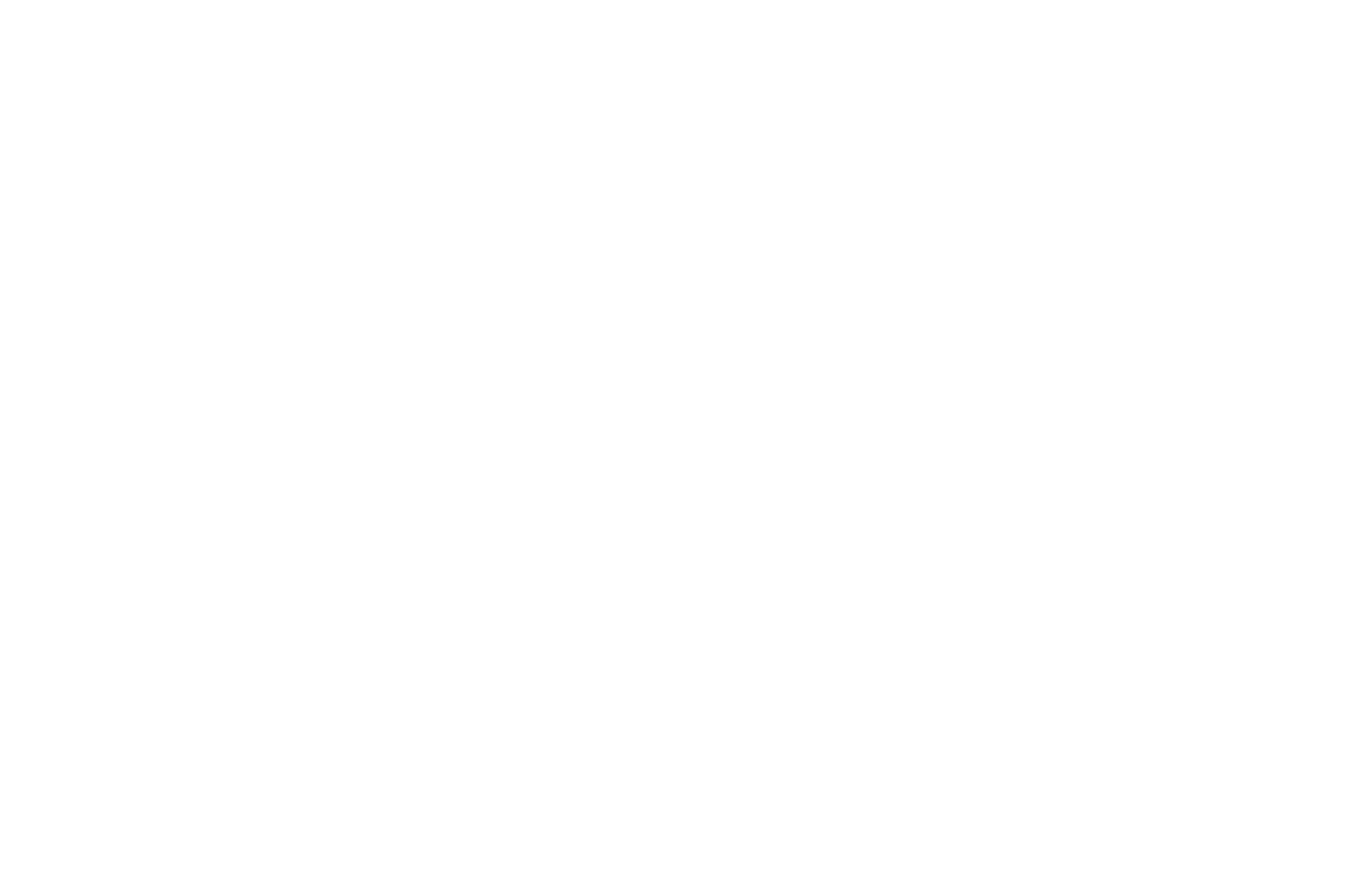 WINNER - BEST ACTRESS IN AN INDIE FILM - TOP SHORTS 2017.png