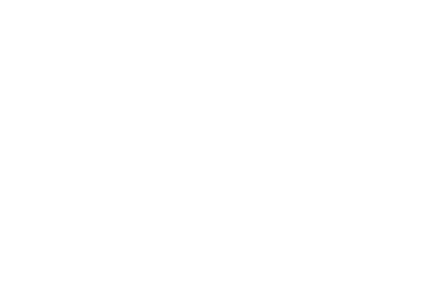WINNER - BEST DIRECTOR LONG SHORT  - HANG ON TO YOUR SHORTS 2017.png