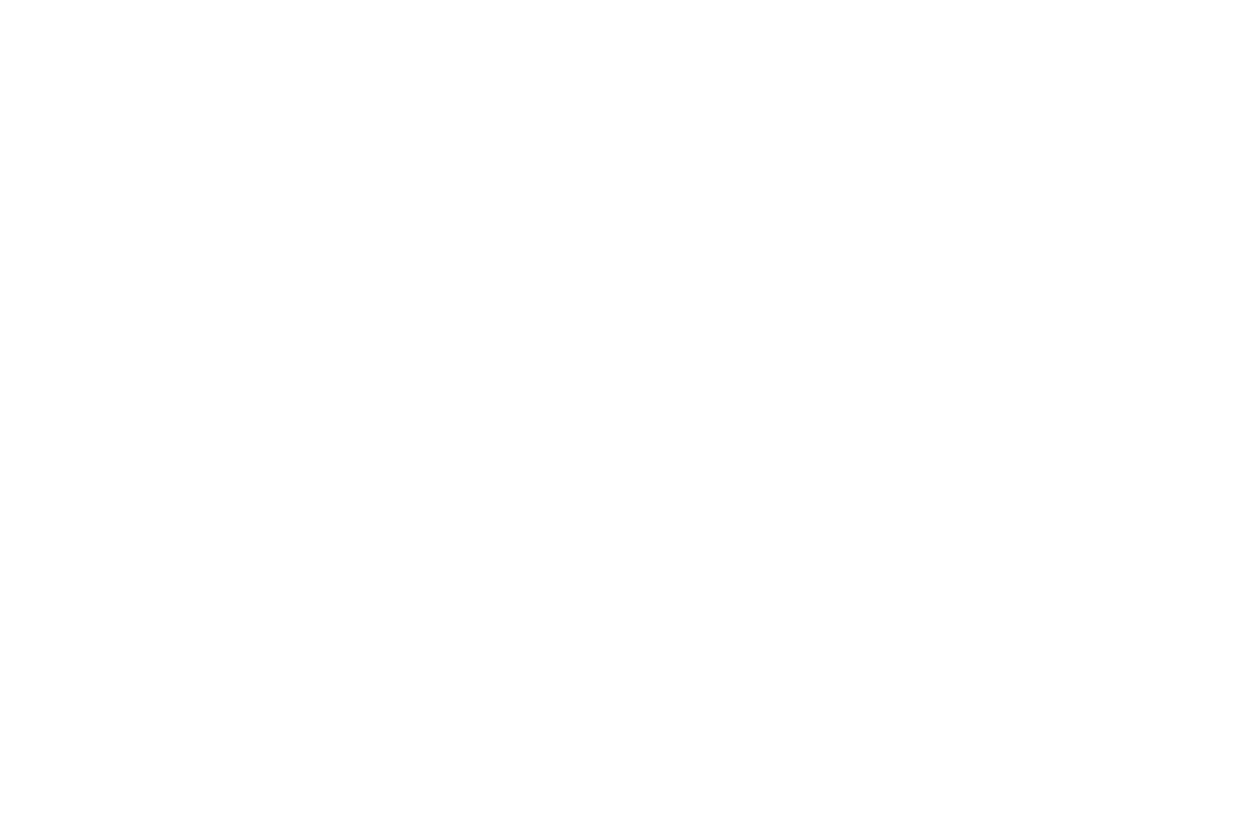OFFICIAL SELECTION - NORTHEAST FILM FESTIVAL  - 2017.png