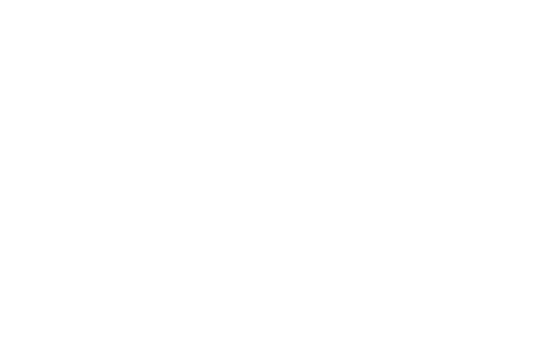 OFFICIAL SELECTION - ENDLESS MOUNTAINS FILM FESTIVAL  - 2017.png