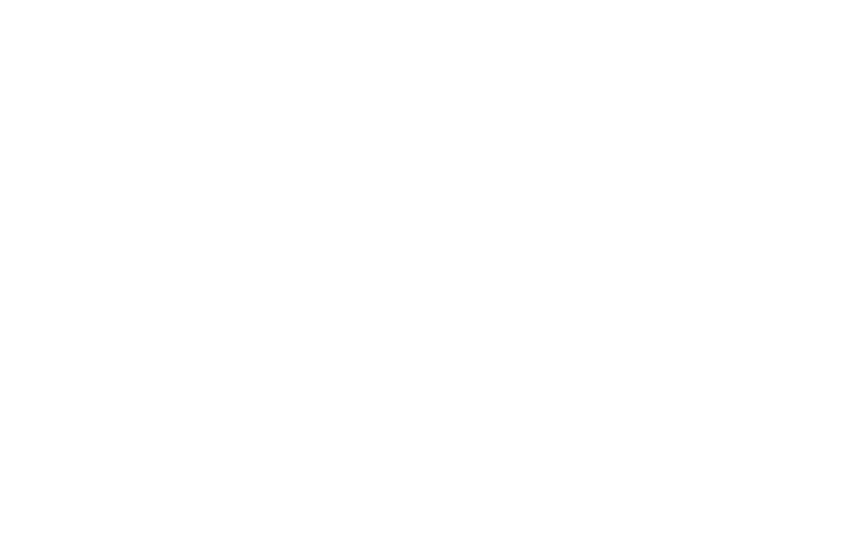 OFFICIAL SELECTION - AMERICAN FILMATIC ARTS AWARDS - 2017 (1).png