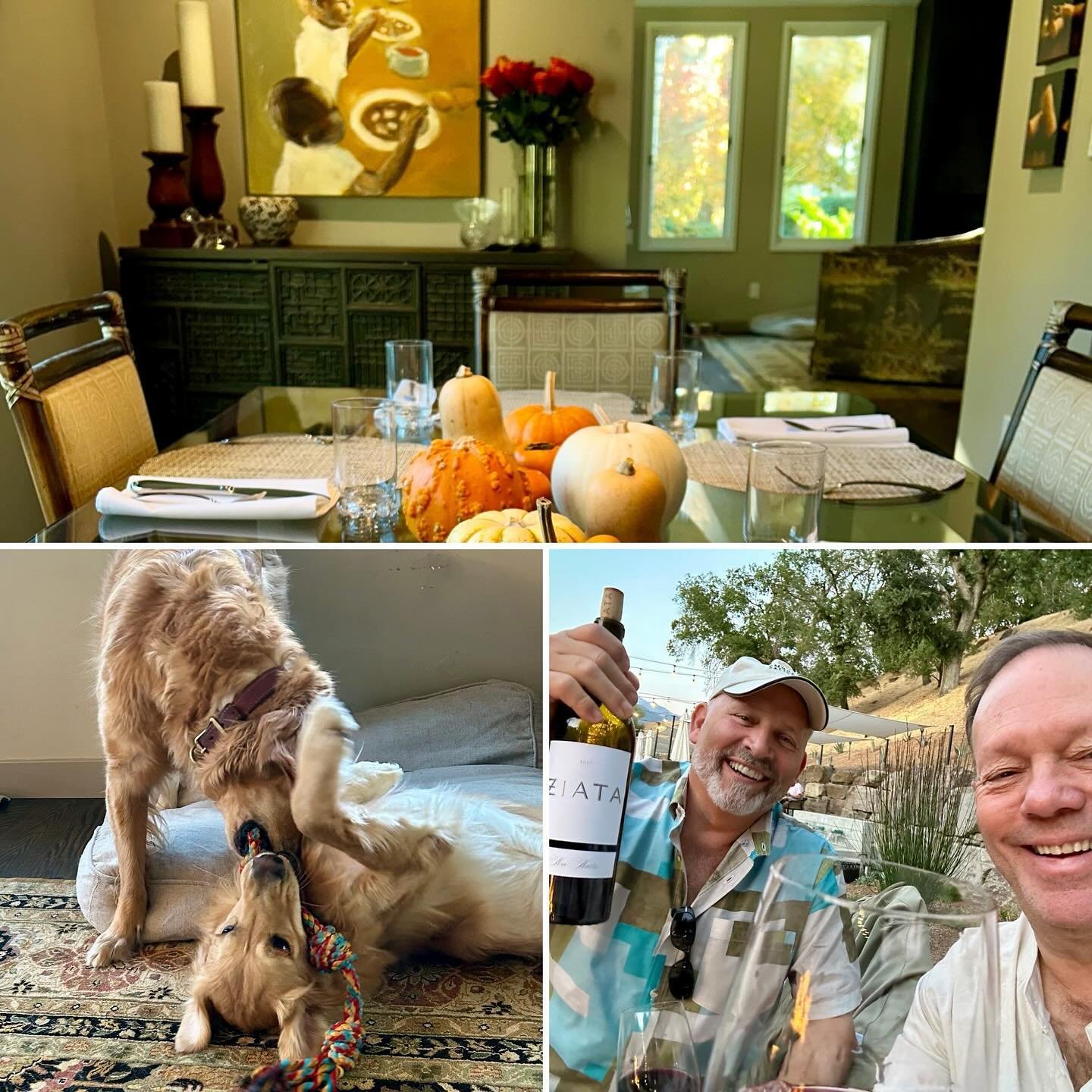 Happy Thanksgiving from our house and family to you and yours. May your table be full of love, food and wine!  We are so thankful and count our blessings!  #happythanksgivng #embracewhatisgood #thankful #goldenretriever #gooblegooble