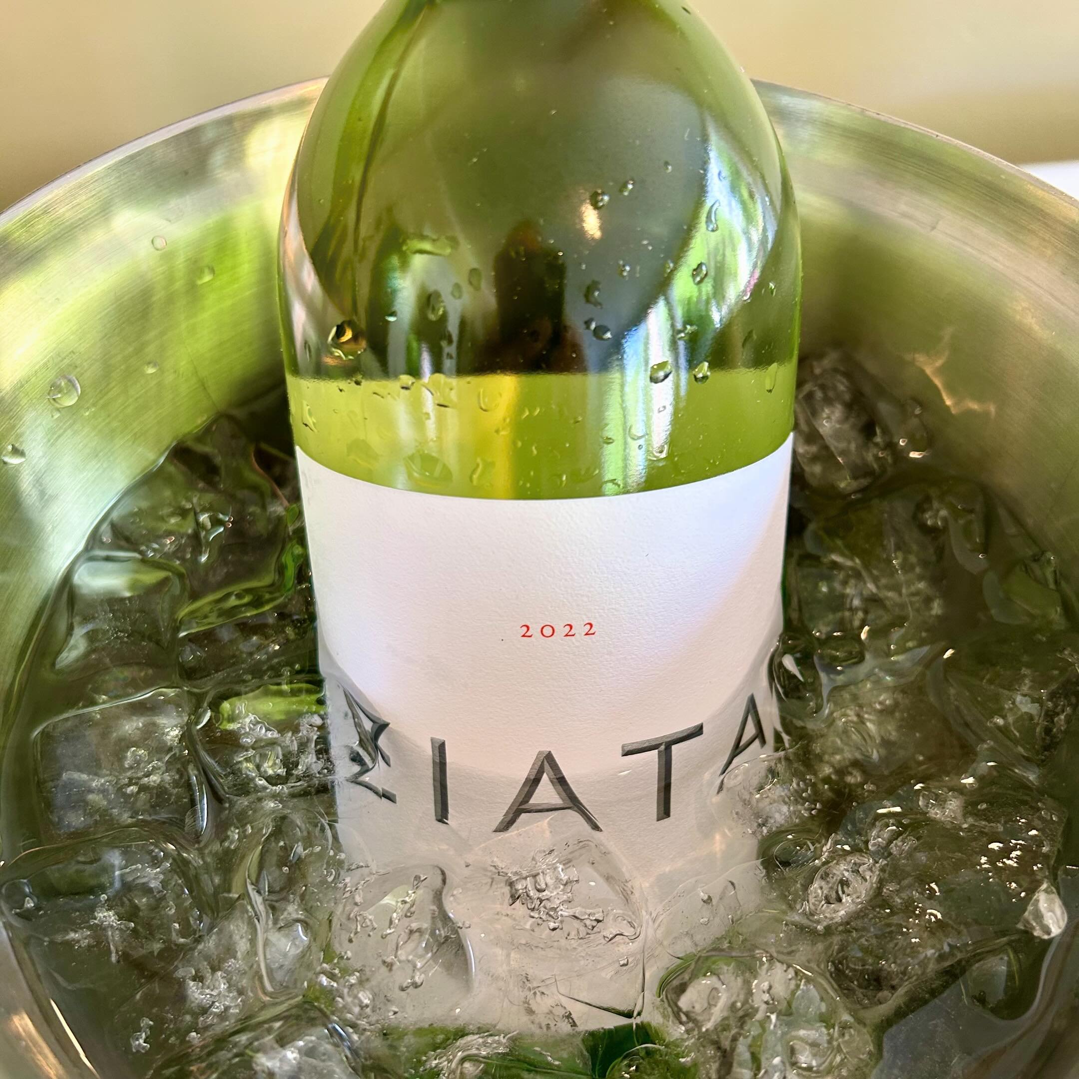 Wine Wednesday!  2022 Ziata Sauvignon Blanc - you&rsquo;ll fall in love after that first sip! @ziata_napavalley #winewednesday #sauvignonblanc #napavalley #napavalleywine #bedandbreakfast #winecountry #wineporn #lovethewineyourewith #visitcalistoga #