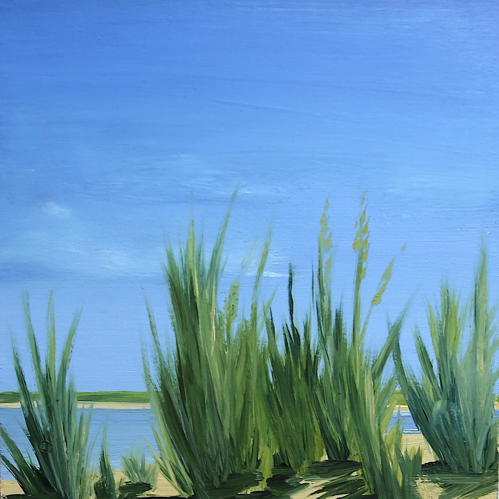 TallGrass 2.jpg