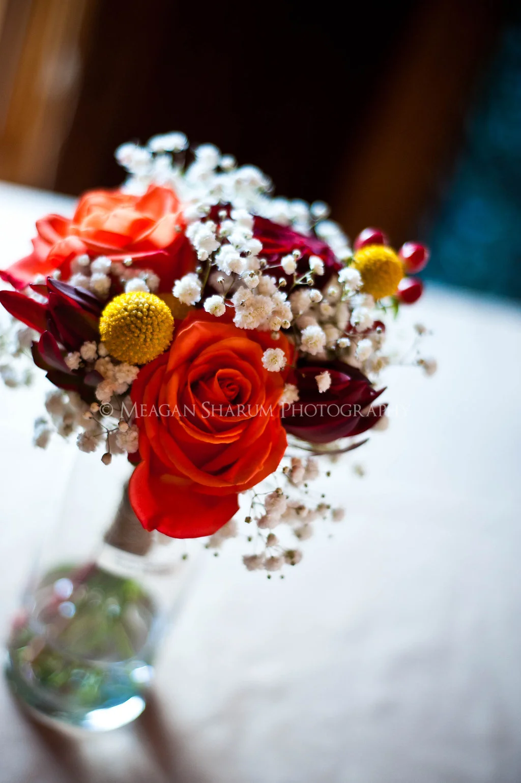 Rhode Island Photographer
