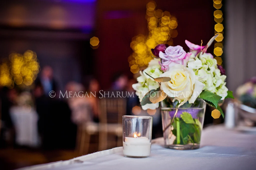 Rhode Island Photographer
