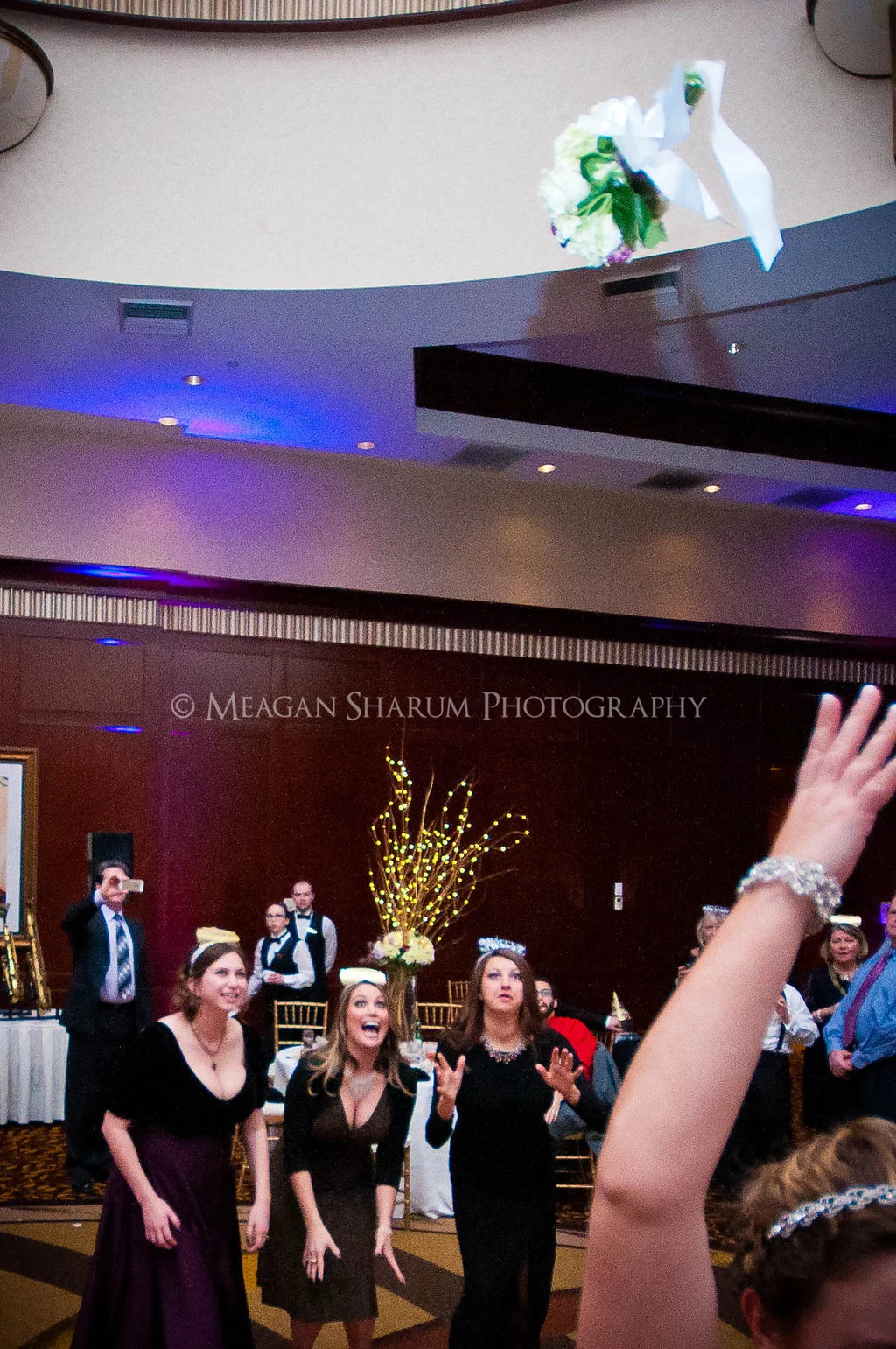 Rhode Island Photographer