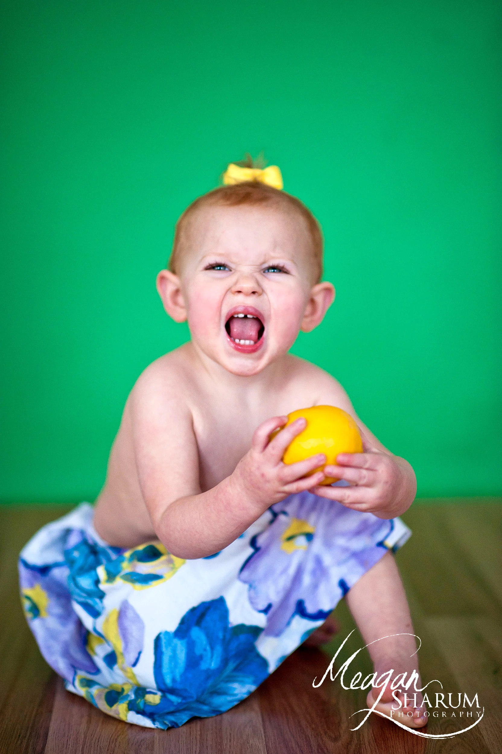 Rhode Island Photographer