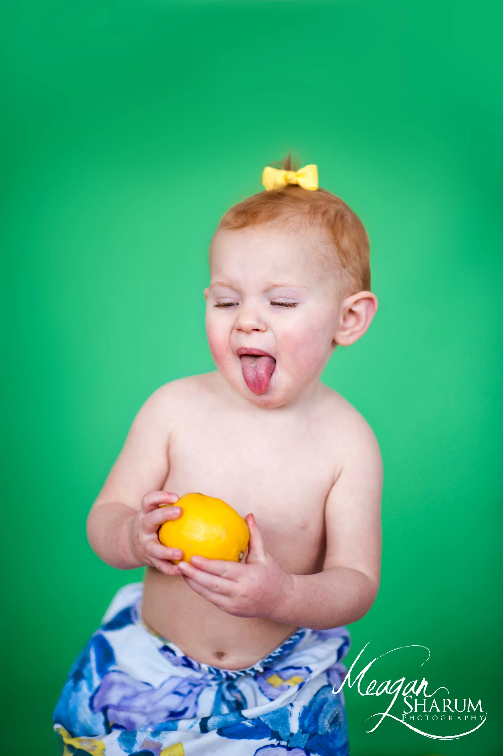 Rhode Island Photographer