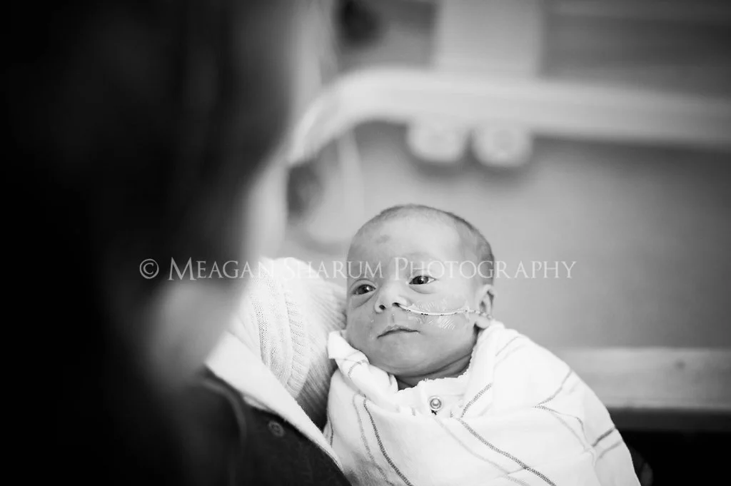 Rhode Island Photographer